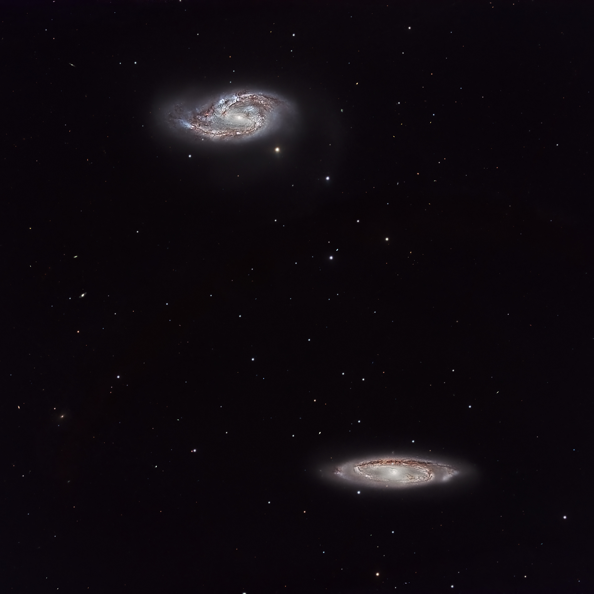 M65 & M66 Galaxies are intermediate spiral galaxies about 35 million light-years away in the constellation Leo. It was discovered by Charles Messier in 1780.