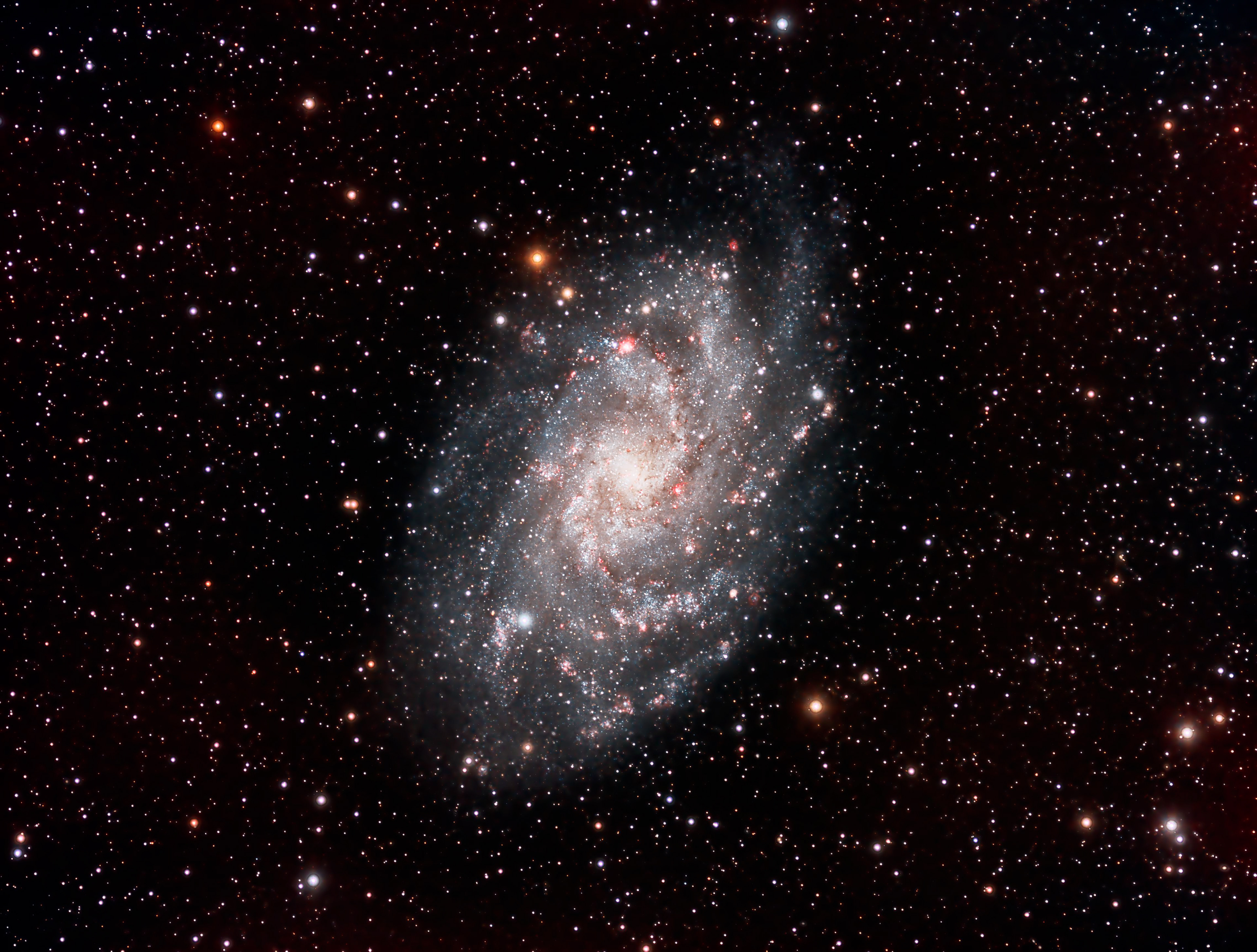 The Triangulum Galaxy, M33, is a spiral galaxy 2.73 million light-years from Earth in the constellation Triangulum. It is cataloged as Messier 33 or NGC 598. It is 30,000 light years across, and contains 40 billion stars (I counted them!!). The red regions within the galaxy are areas that are showing active new star development.