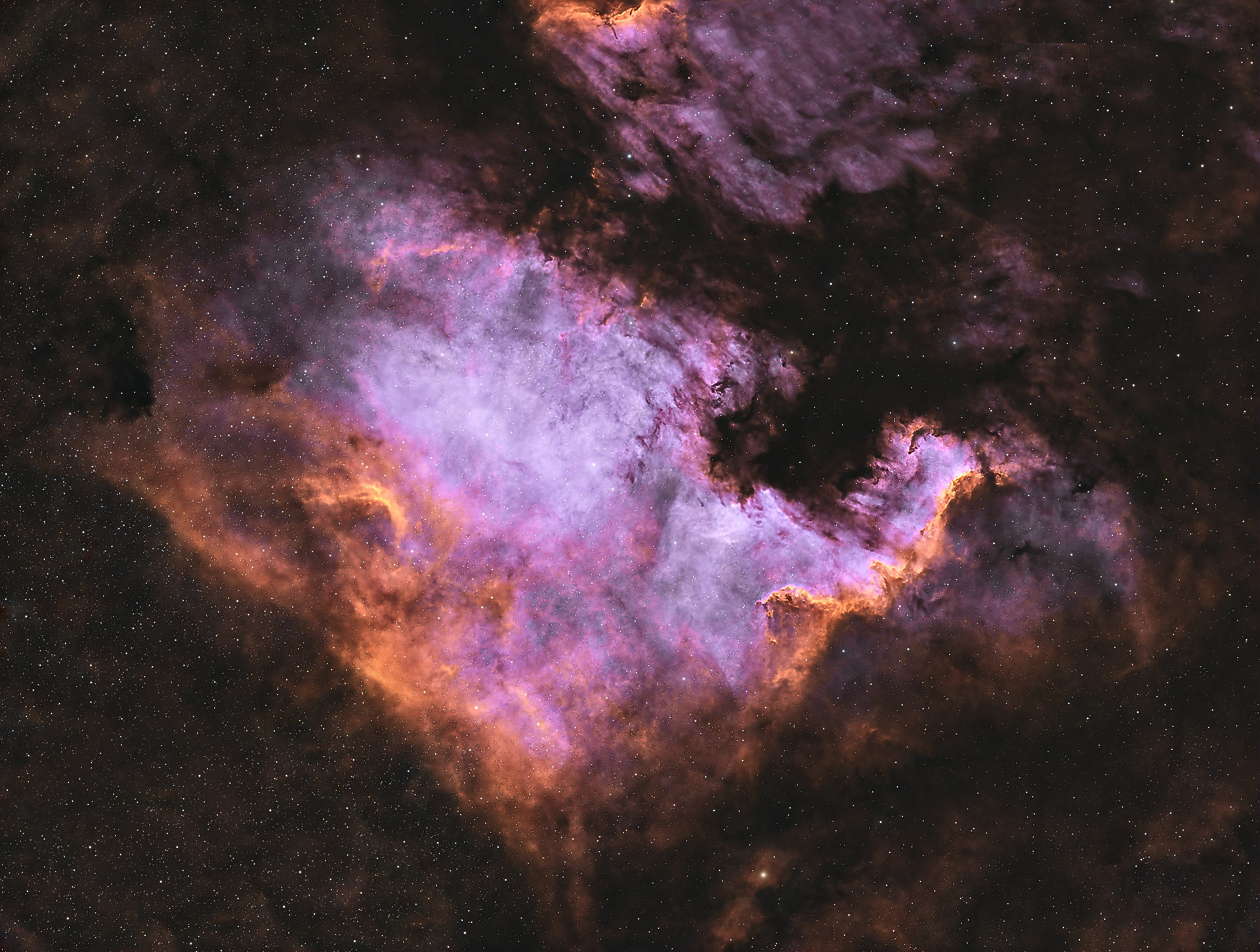 The North America Nebula (NGC 7000) in SHO is an emission nebula in the constellation Cygnus. It is named because its shape resembles North America. It glows because the Hydrogen, Oxygen and Sulphur gases are ionized by stars which causes them to glow.  Distance: 2,590 light years Radius: 90x140 light years