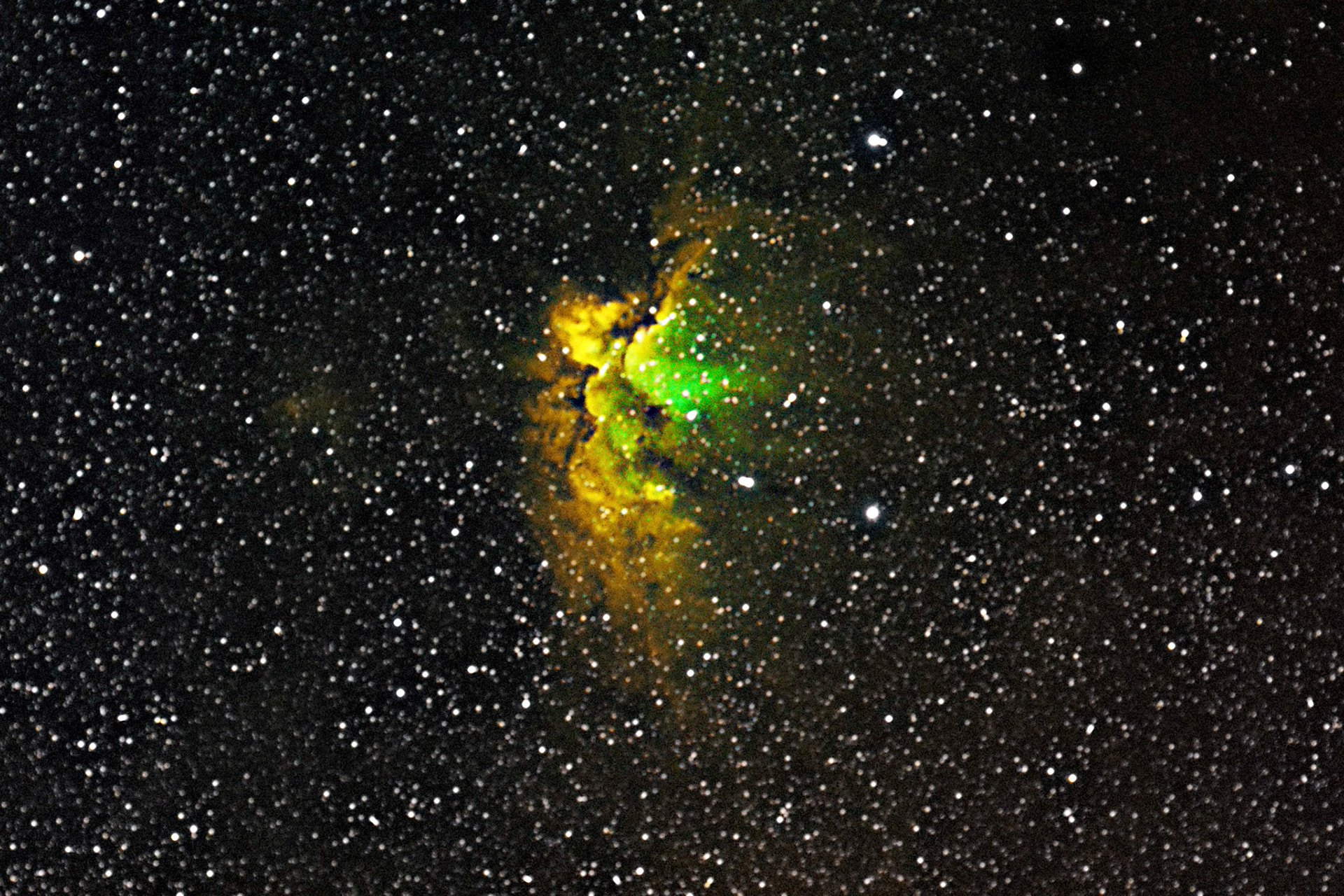 Wizard Nebula SW 80mm EDO Pro, ASI1600mm Pro, Ha/OIII/Si2 — in Bakersfield.