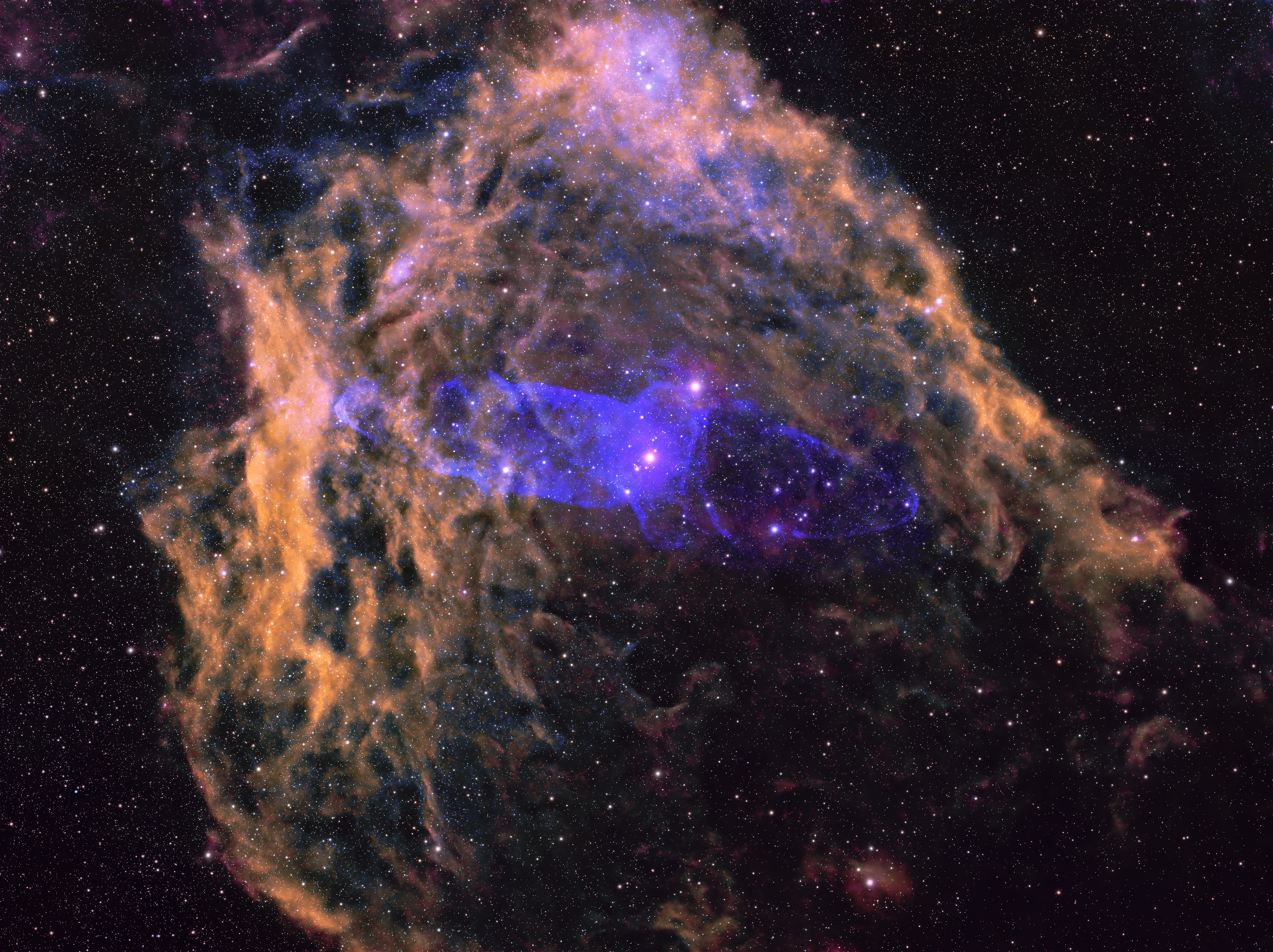 This is an image of the Flying Bat Nebula (SH2-120) and the Squid Nebula (Ou4). These nebulae lie about 2,300 light years away in the constellation Cepheus. The blue Squid nebula is the result of doubly ionized oxygen atoms while the orangish Flying bat nebula is the result of hydrogen emissions.