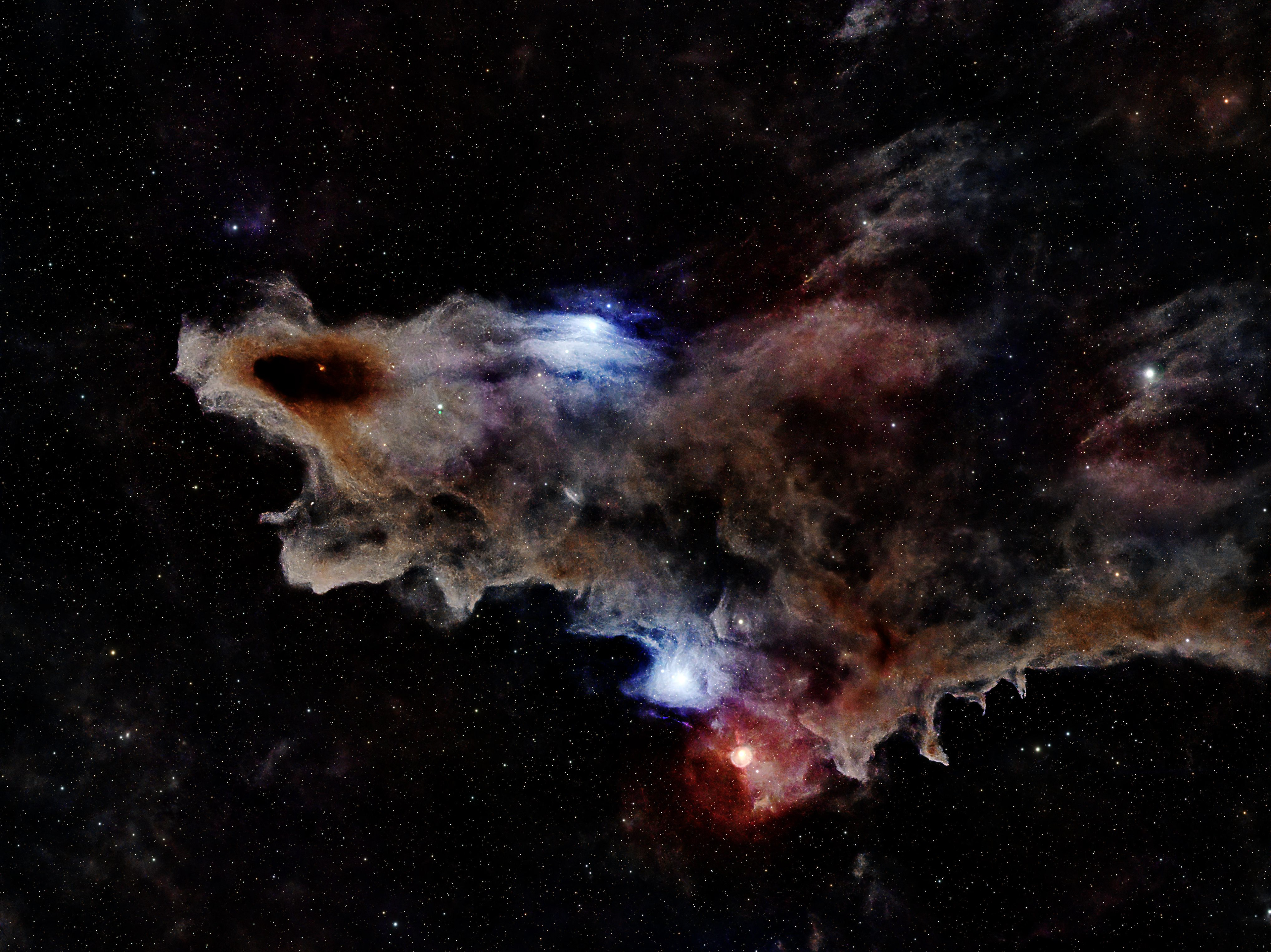 vdB 150 is a faint, blue reflection nebula located in the constellation Cepheus. It is also known, along with surrounding nebulae, as the Shark Nebula due to the overall shape the complex forms. The nebula is illuminated by a bright, blue-white star that causes the surrounding gas and dust to glow bluish.  This is a true color image.