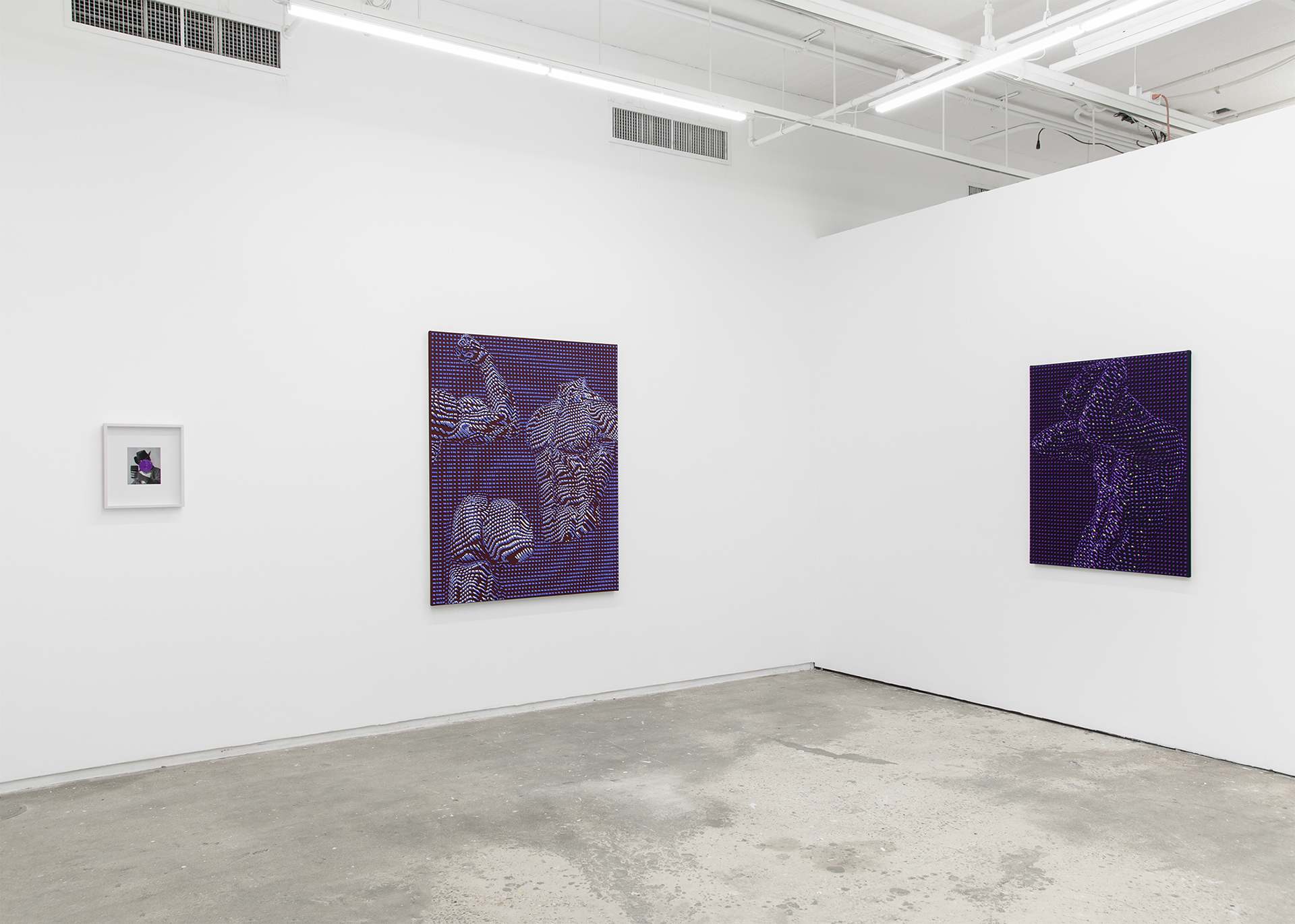 Artist Joseph Parra, exhibition This Most Distant, installation of Entranced, Night