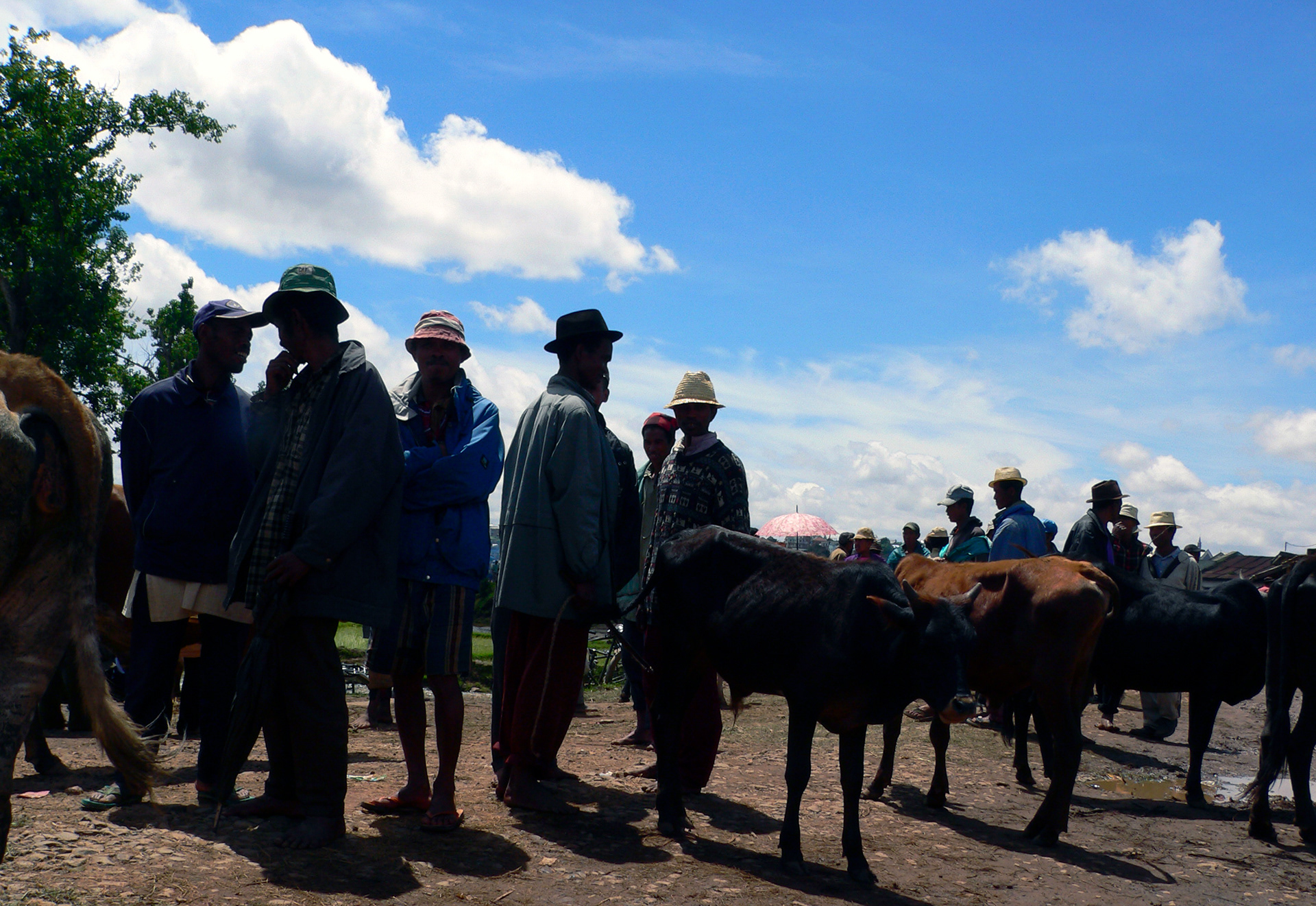 Bauernmarkt im Hochland von Madagaskar