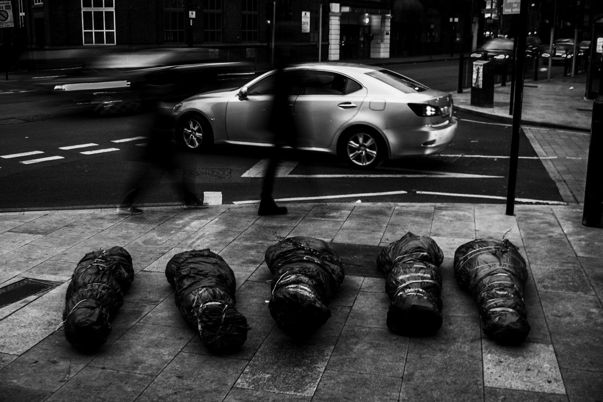 Disposables Action: Photographer - Fossil Buddy