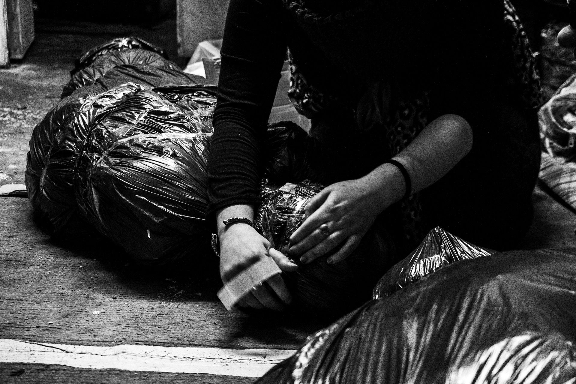 Disposables Action: Photographer - Fossil Buddy