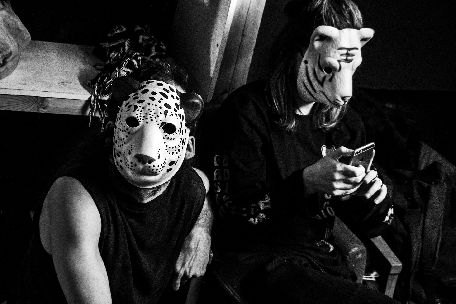 Disposables Action: Photographer - Fossil Buddy