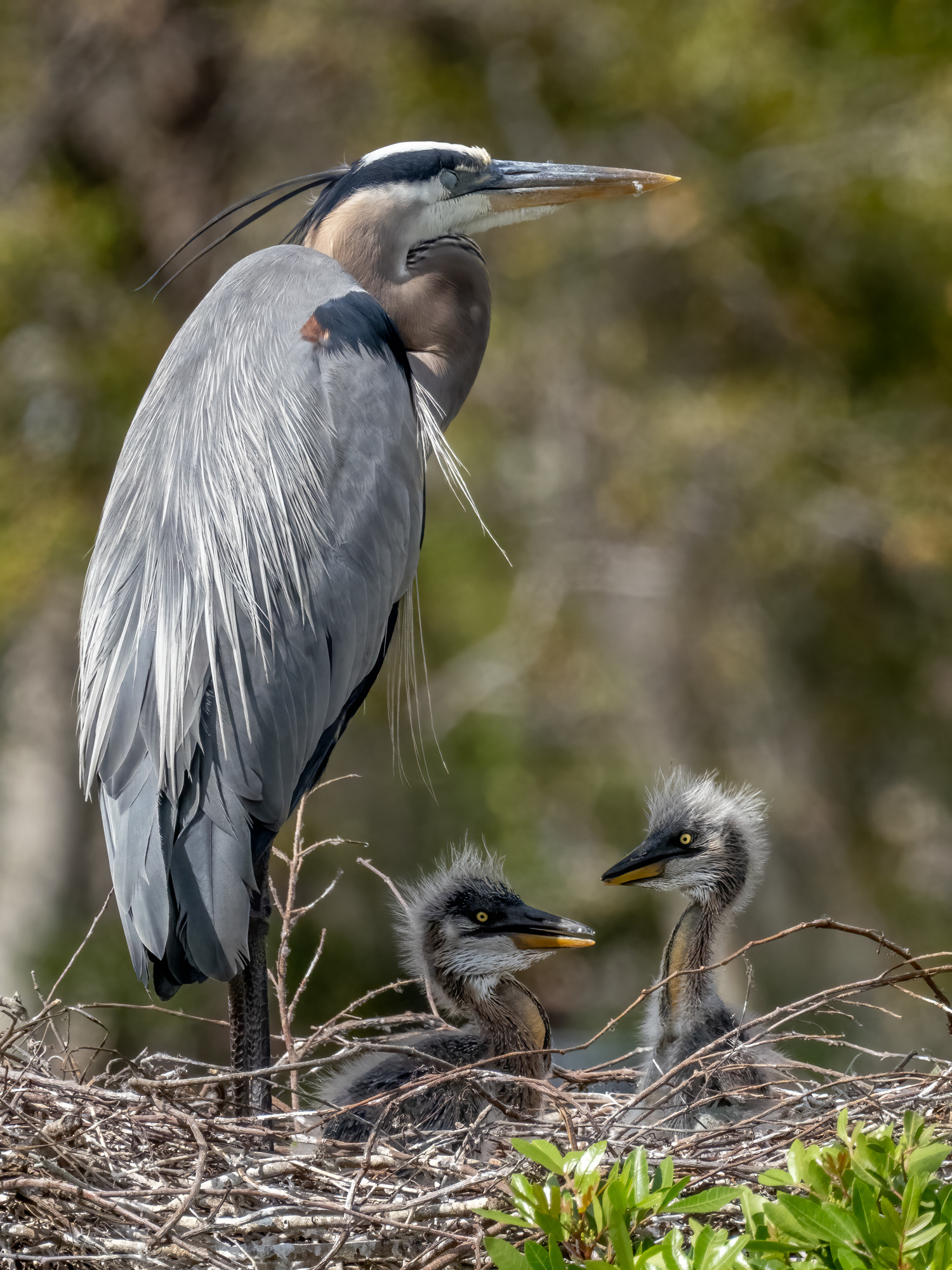 Momma sleeping on the job