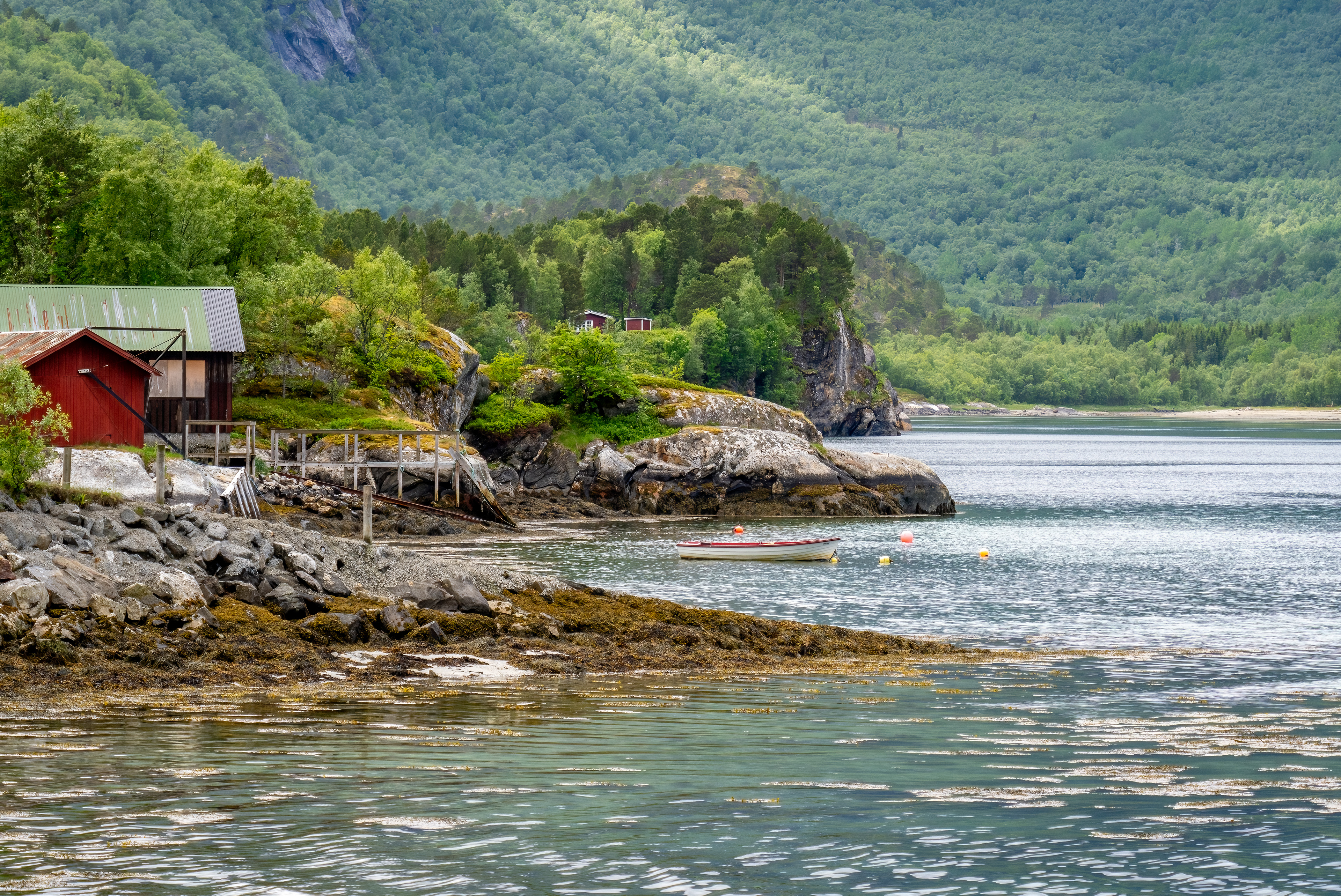Kjerringøy
