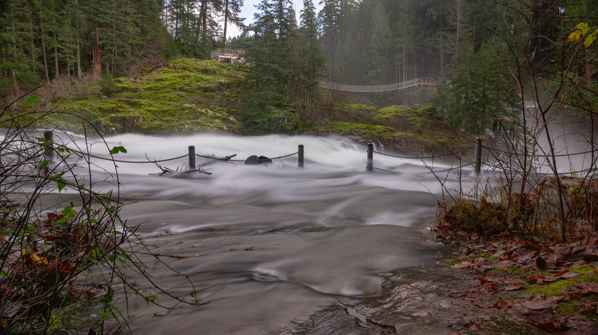 Elk Falls