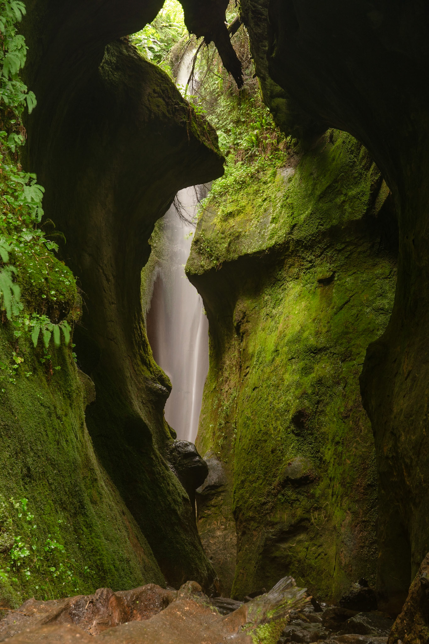 The Hidden Waterfalls at Sombrio Beach