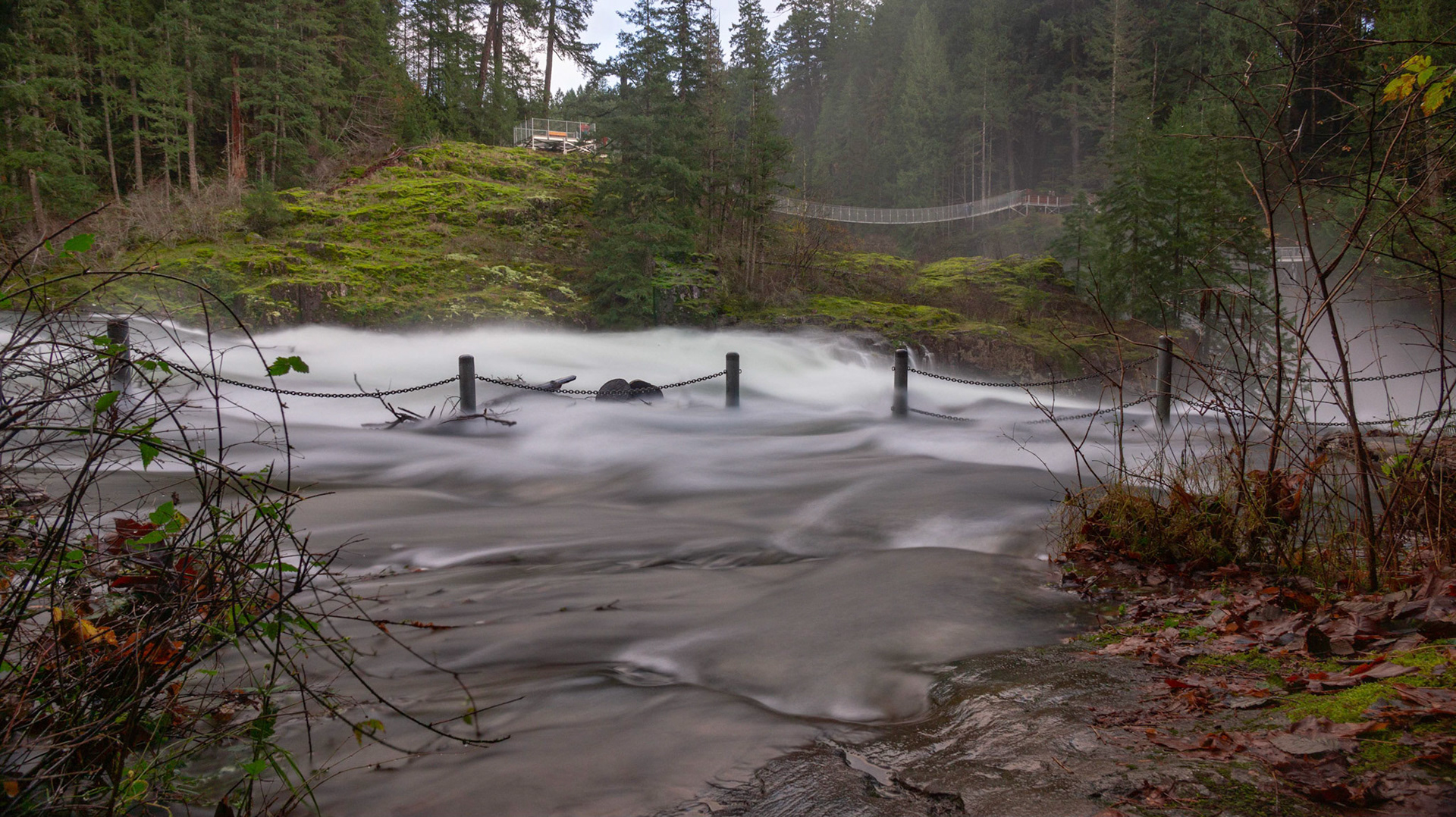 Elk Falls