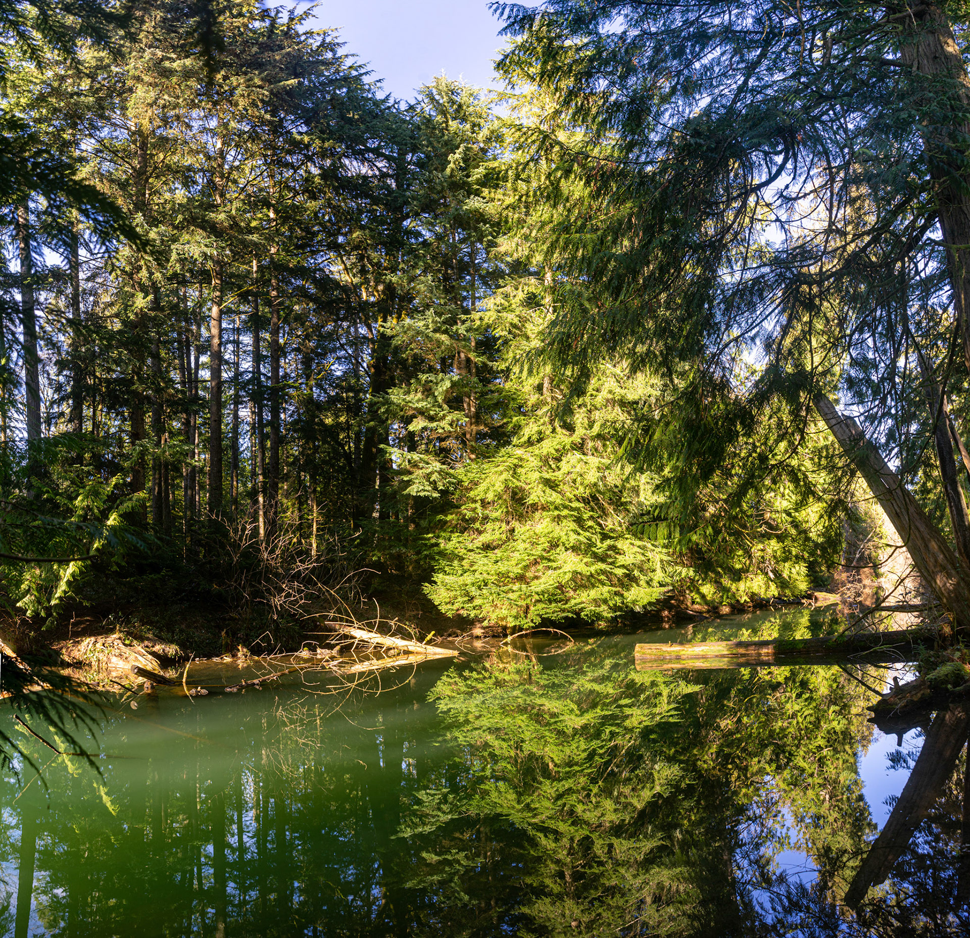 Nanaimo Fish Hatchery