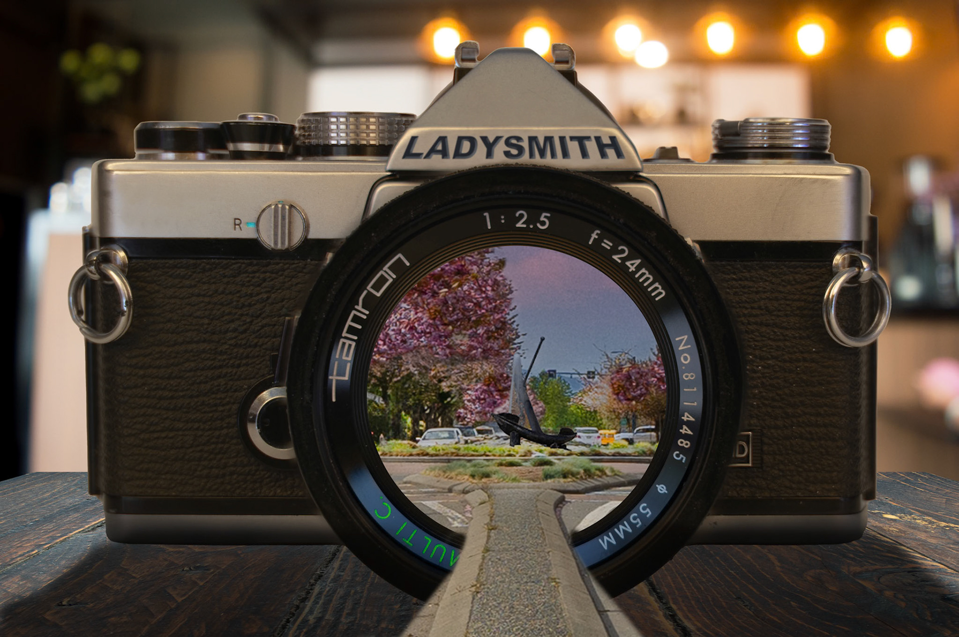 Ladysmith Through the Lens