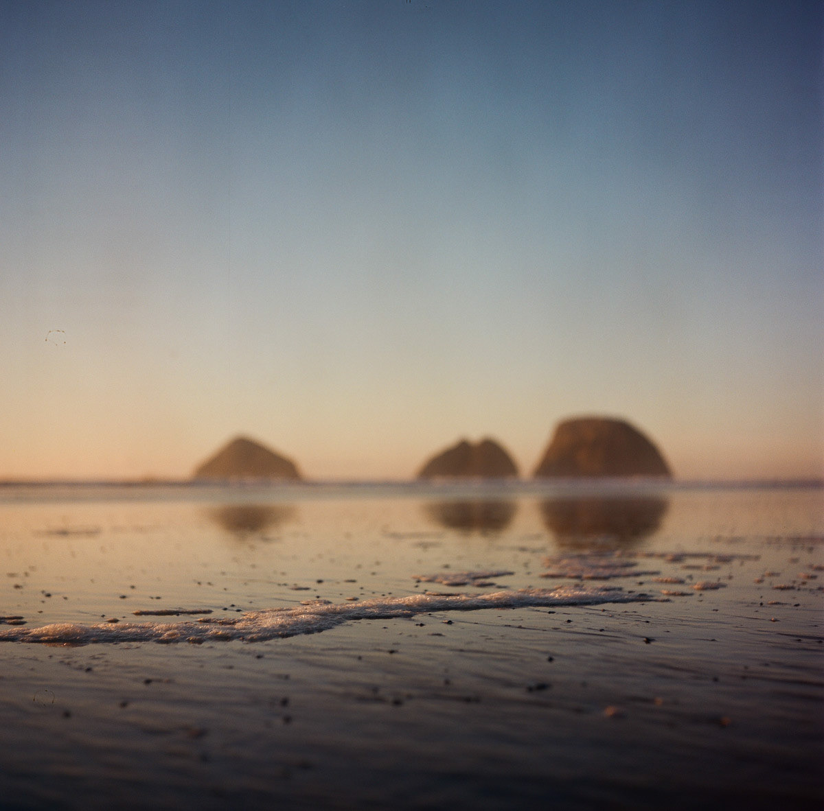 Oregon Coast | Winter, 2023