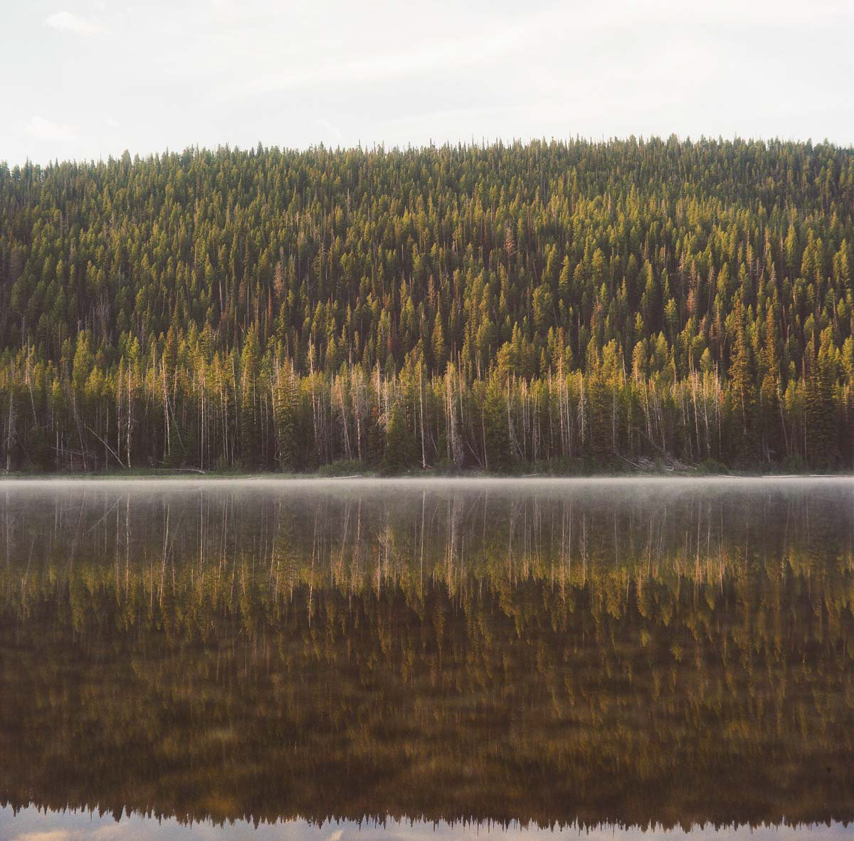 Sawtooth Mountains | 2023