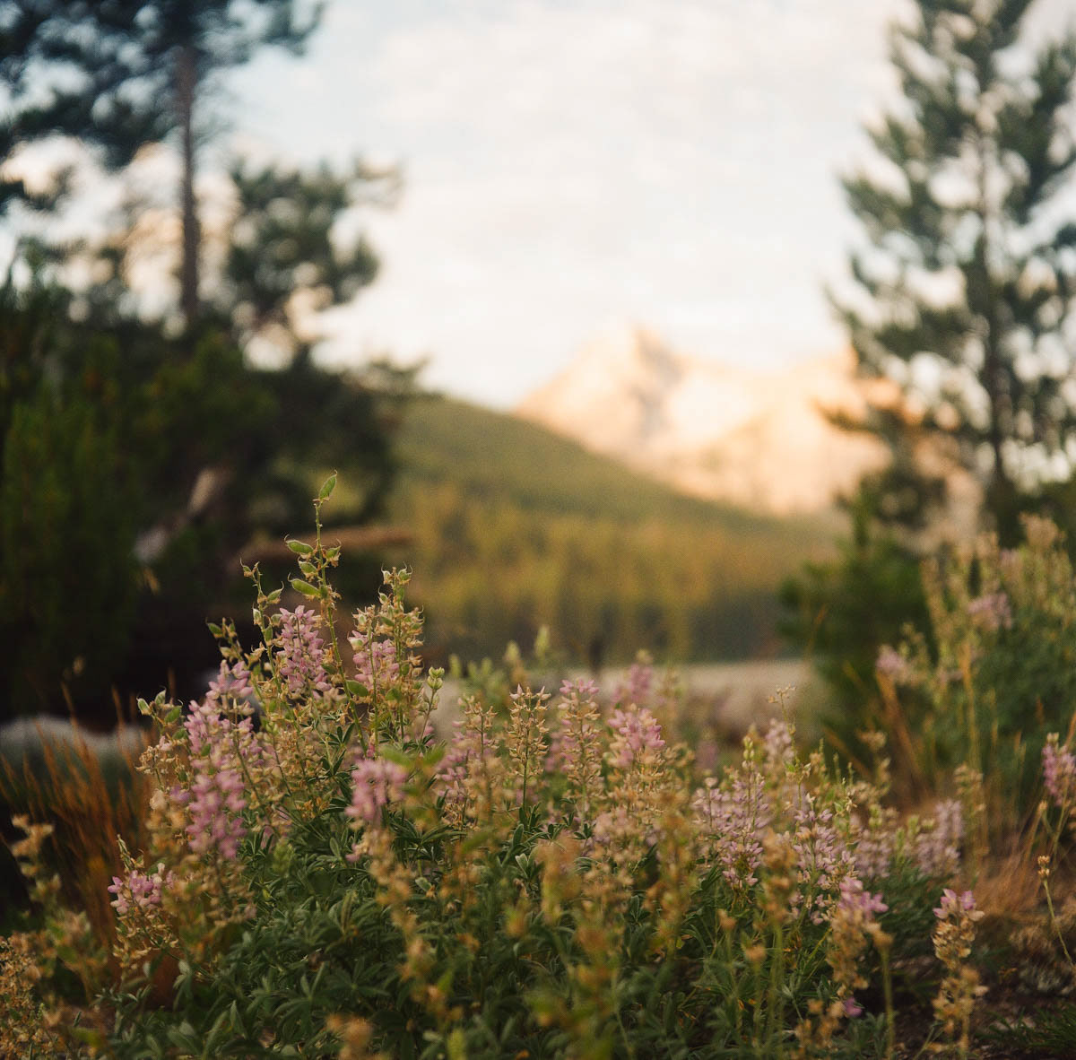 Sawtooth Mountains | 2023