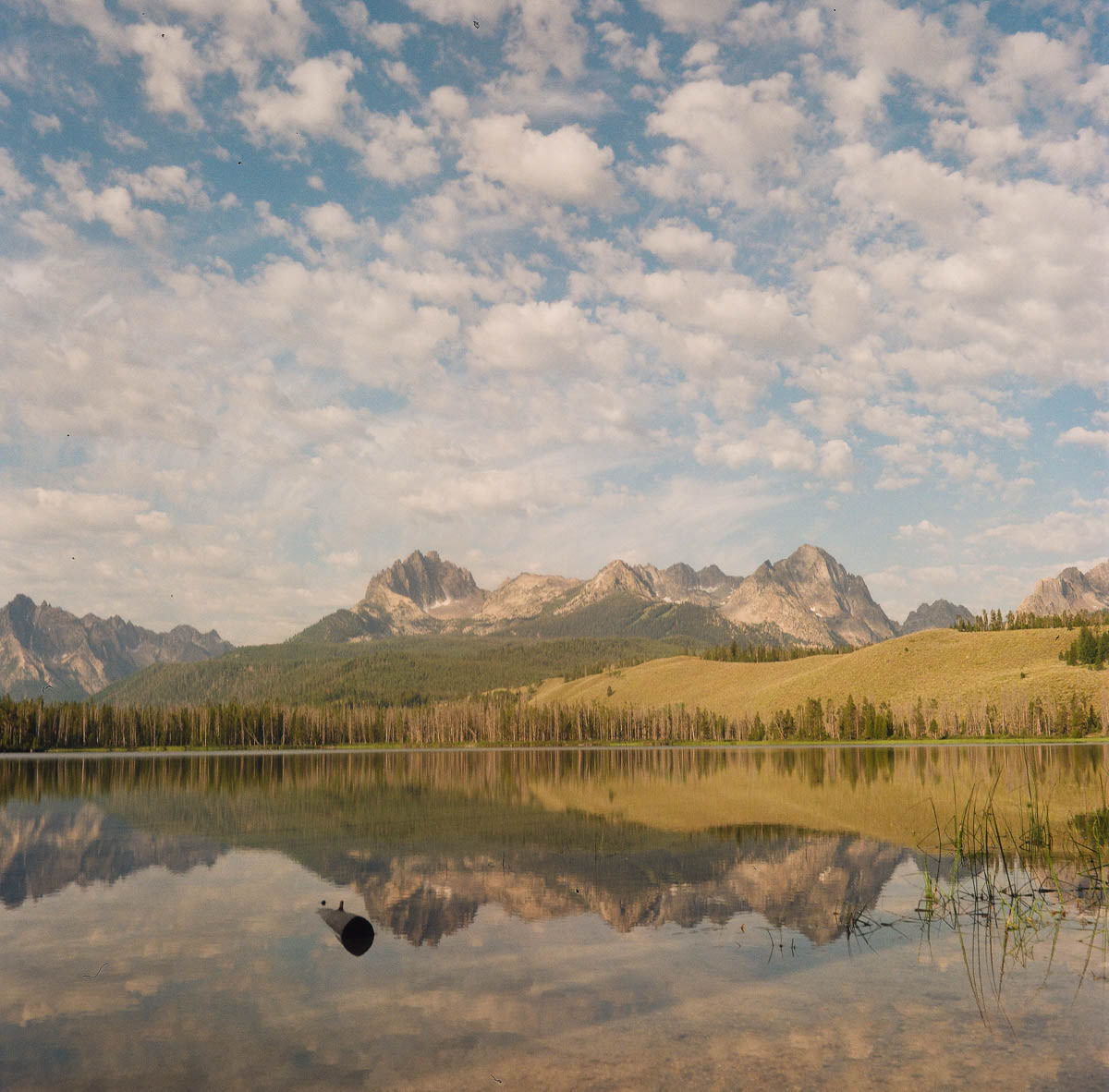 Sawtooth Mountains | 2023