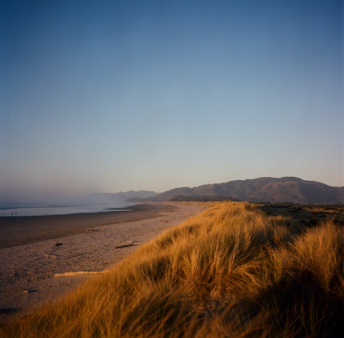 Oregon Coast | Winter, 2023