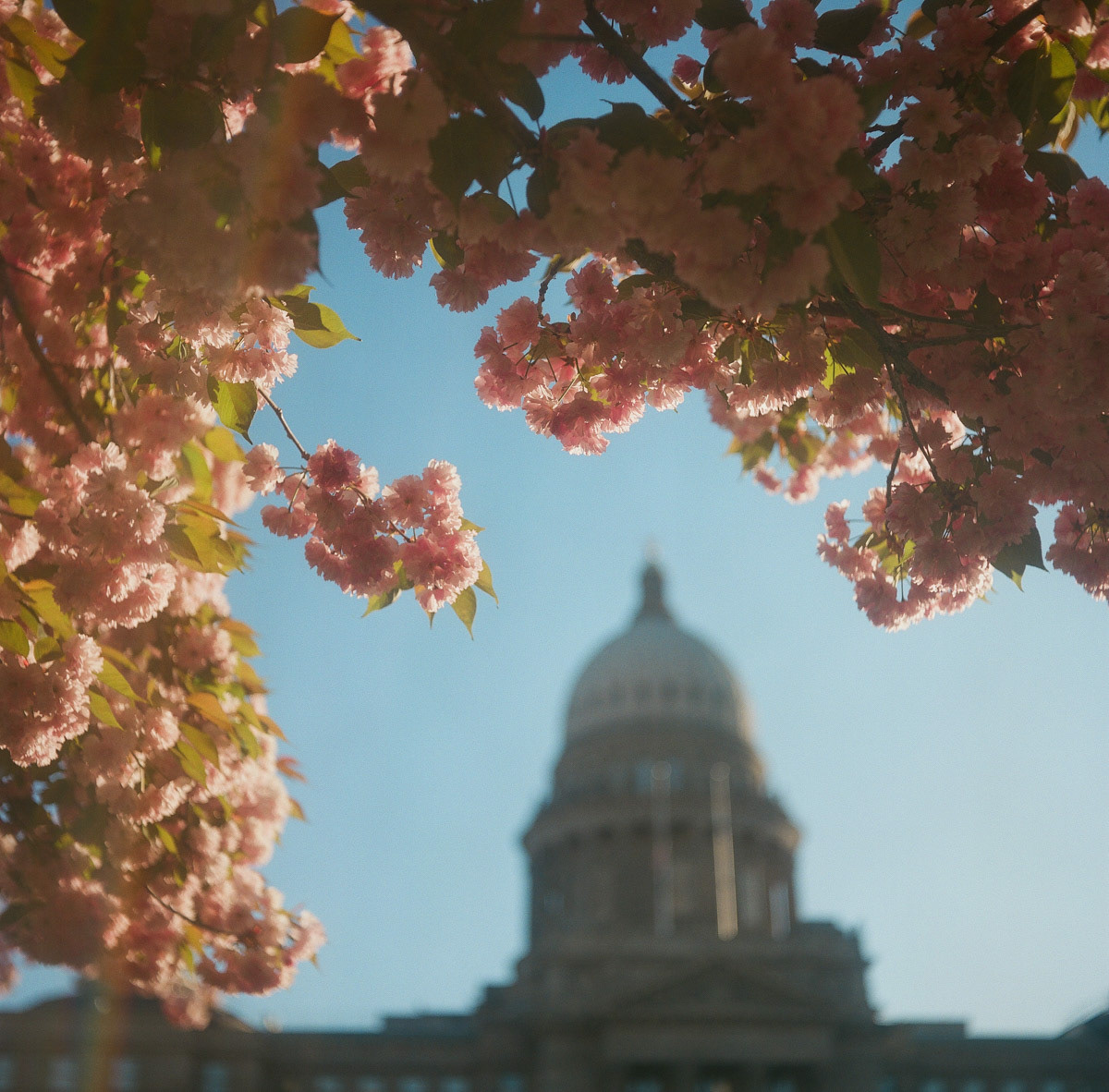 Boise, ID | Spring 2024