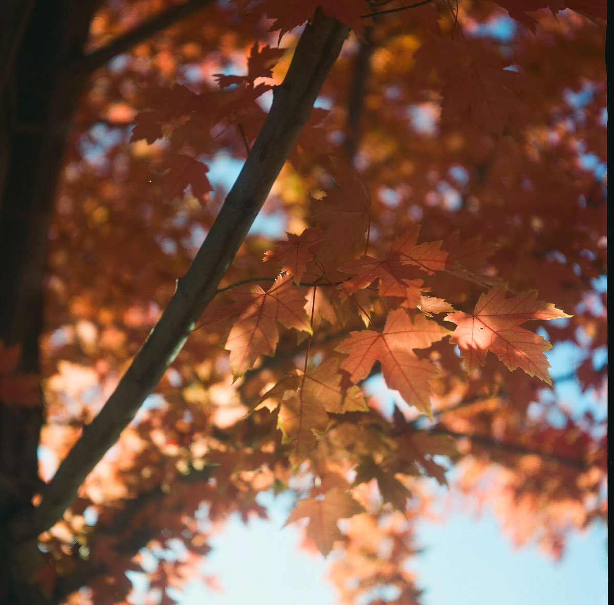 Sun Valley, Idaho | Fall 2023