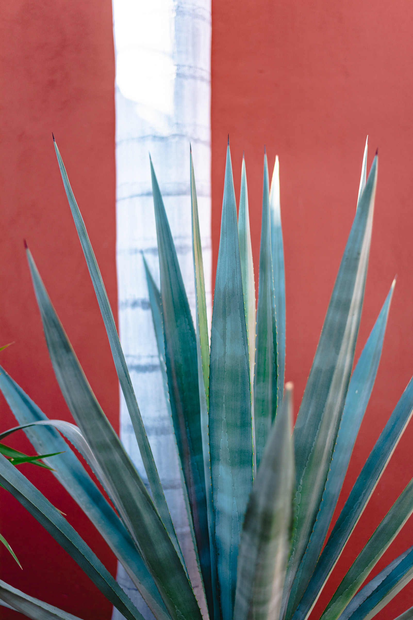 Loreto, Mexico | Spring 2022