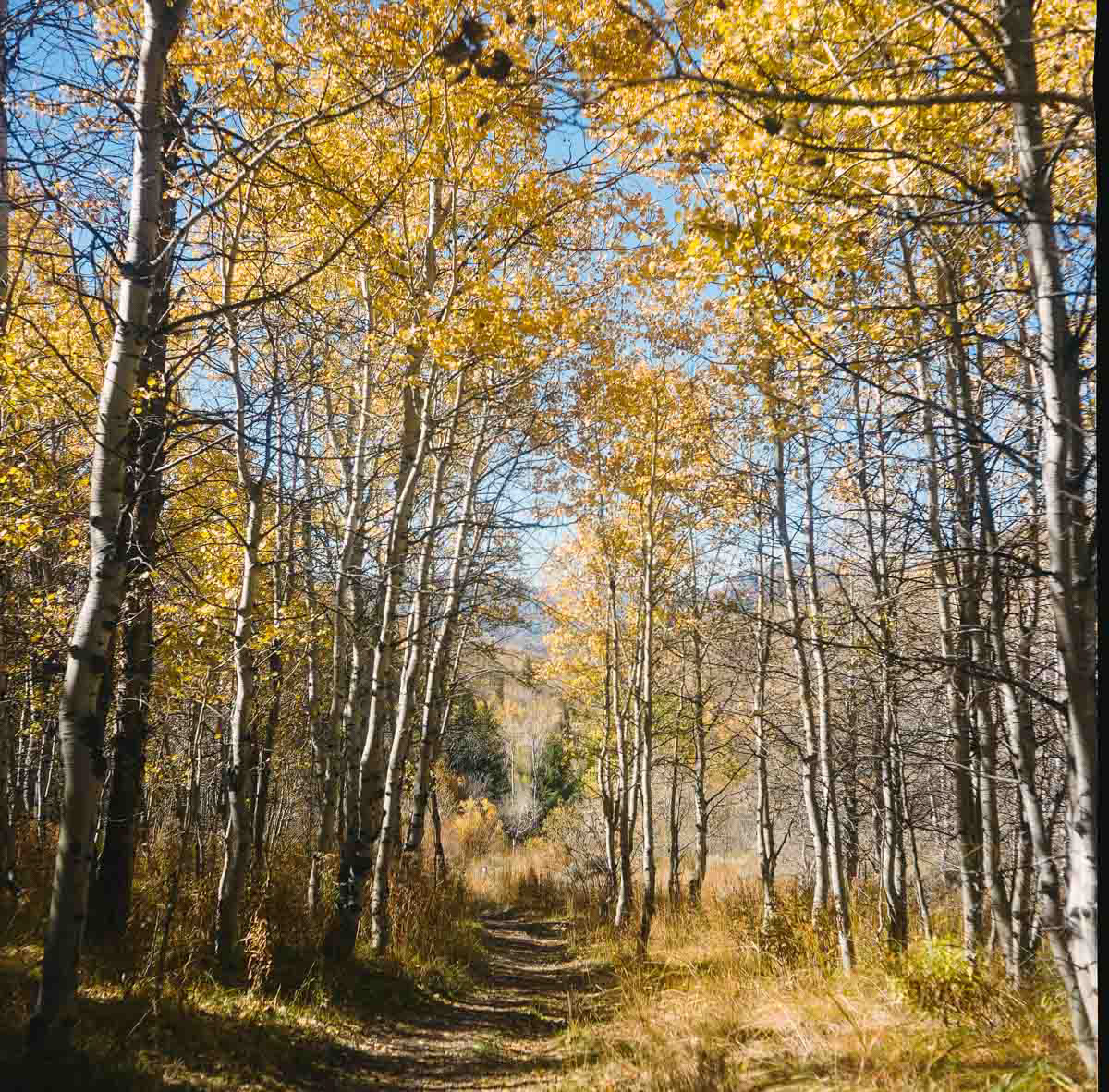 Sun Valley, Idaho | Fall 2023