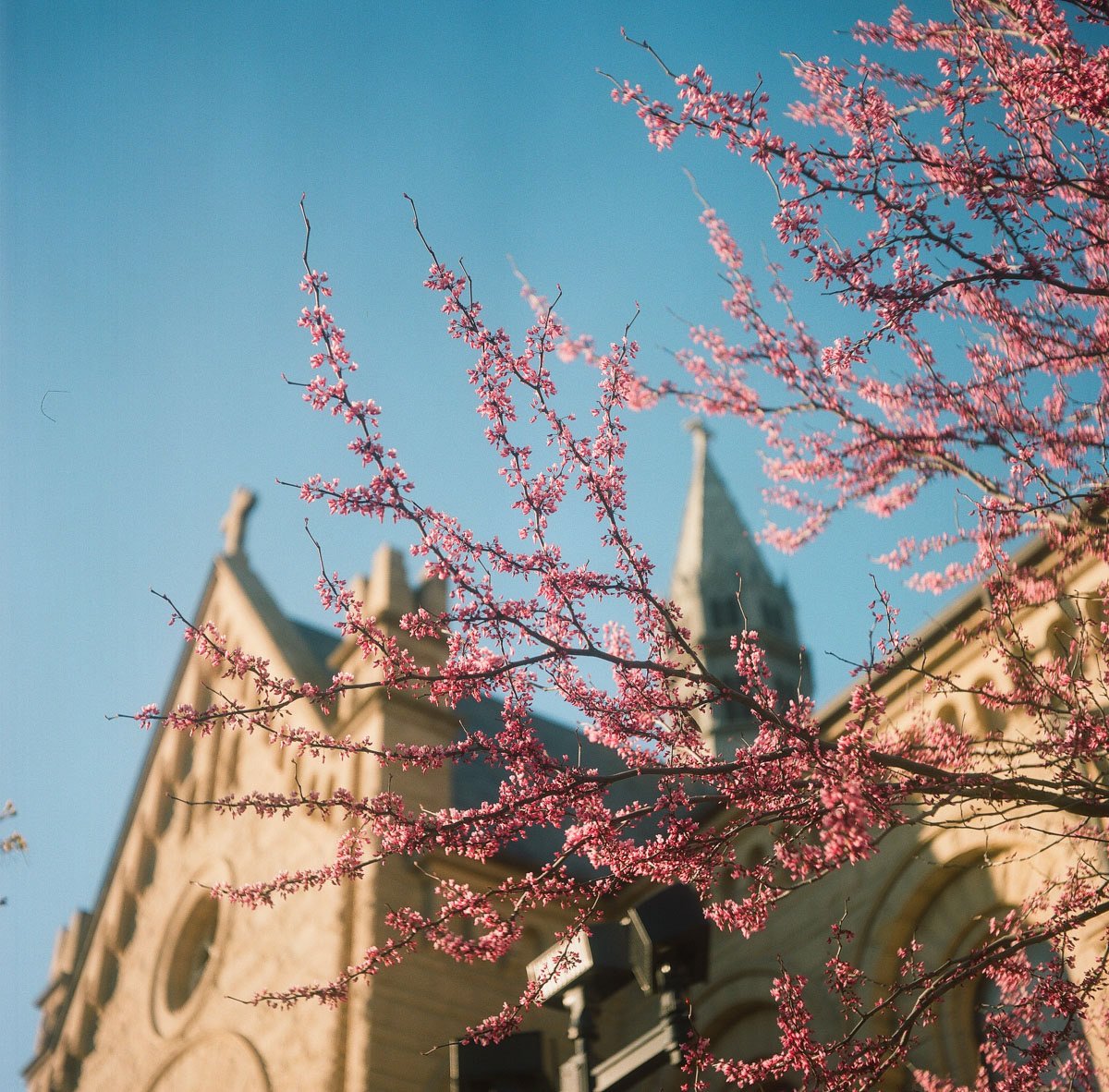 Boise, ID | Spring 2024