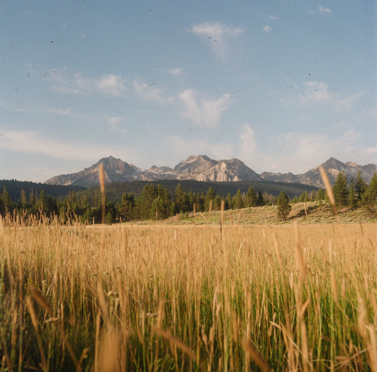 Sawtooth Mountains | 2023