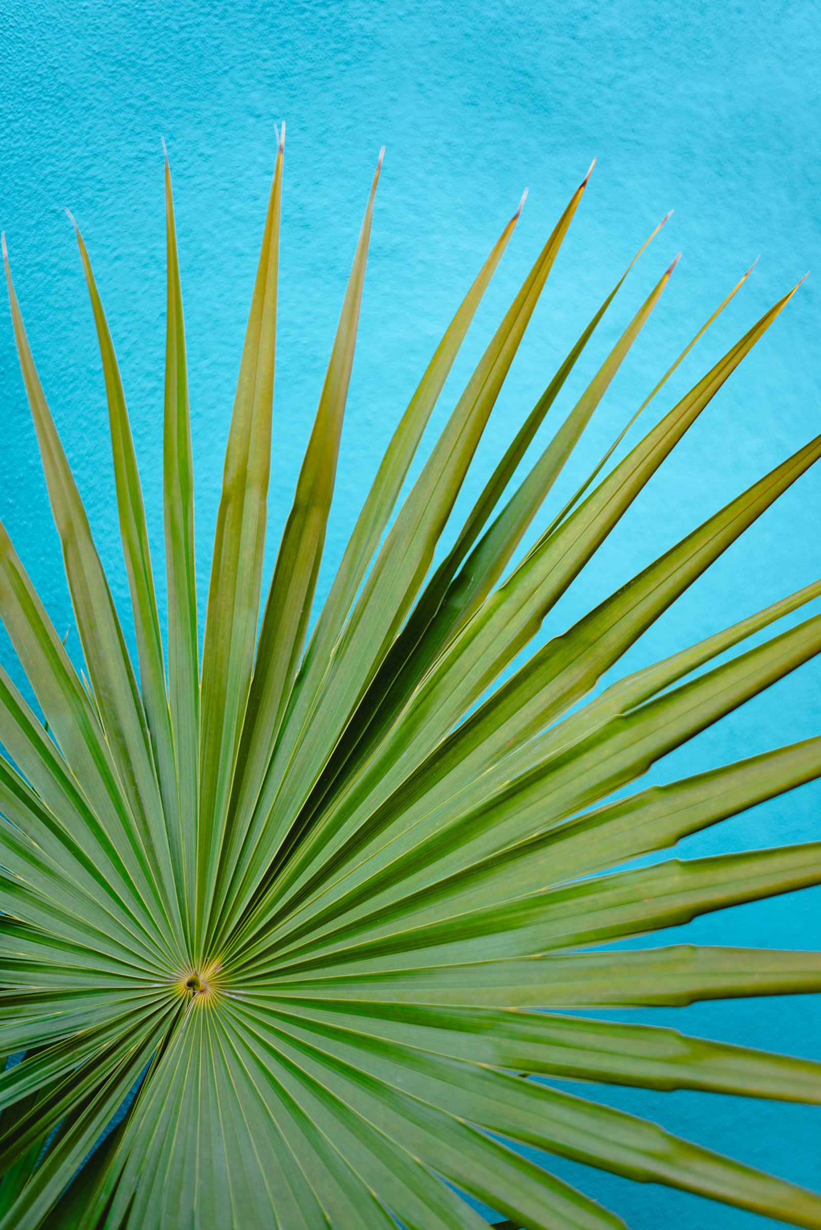 Loreto, Mexico | Spring 2022