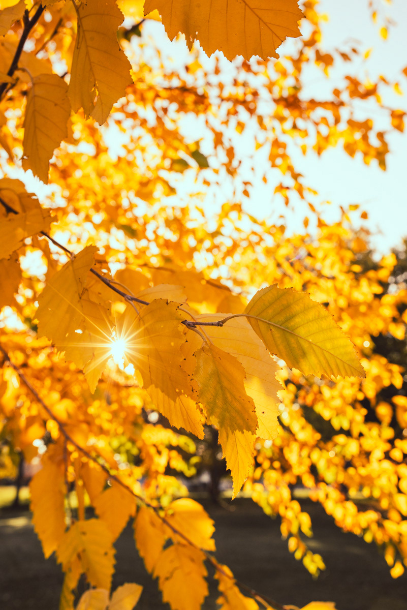 Boise | Fall 2023