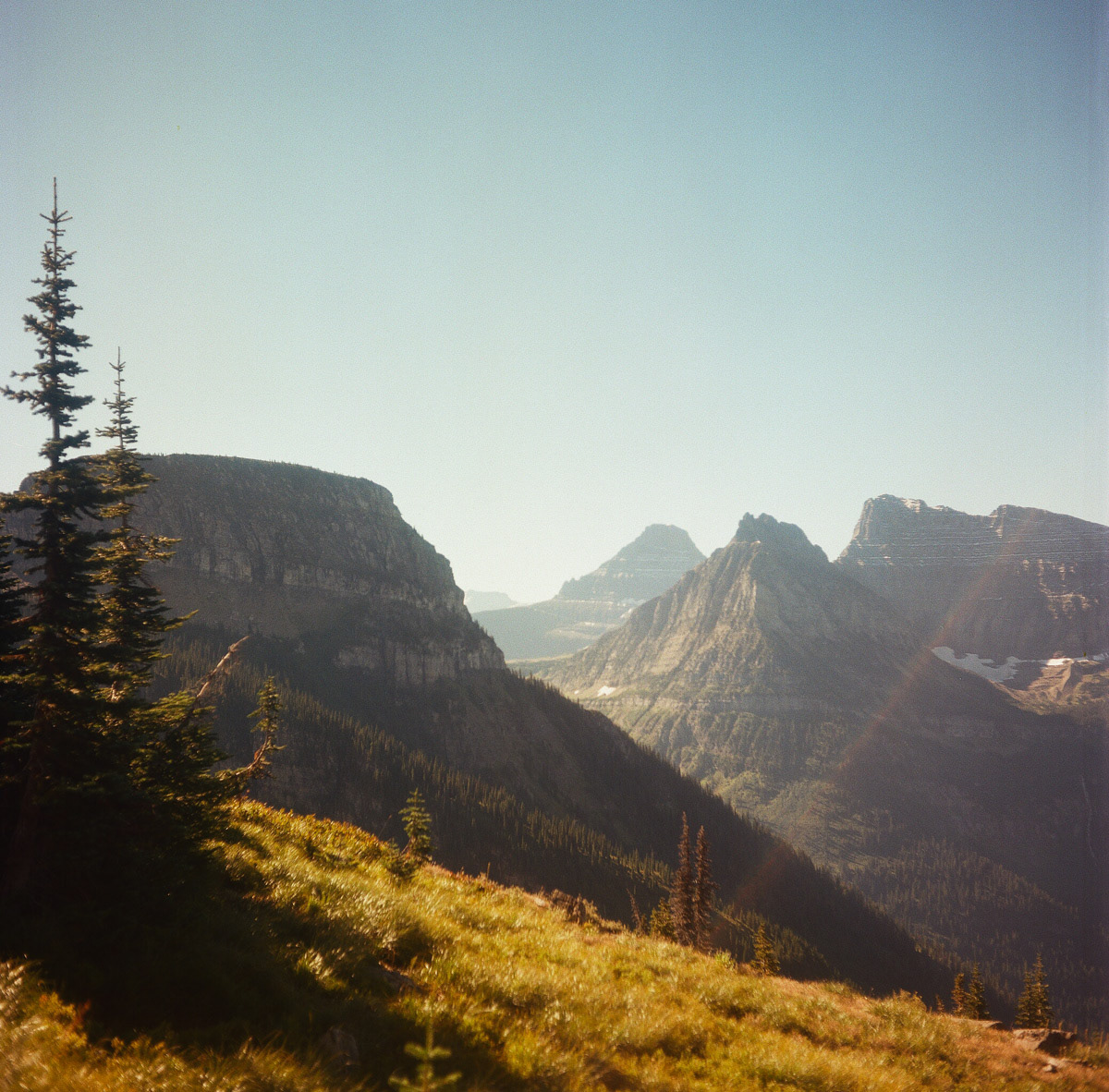 The Highline, Glacier NP | Summer 2024