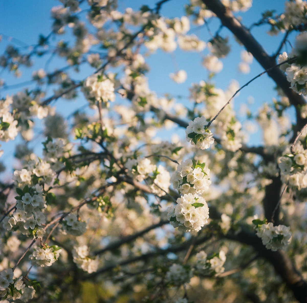 Boise, ID | Spring 2024