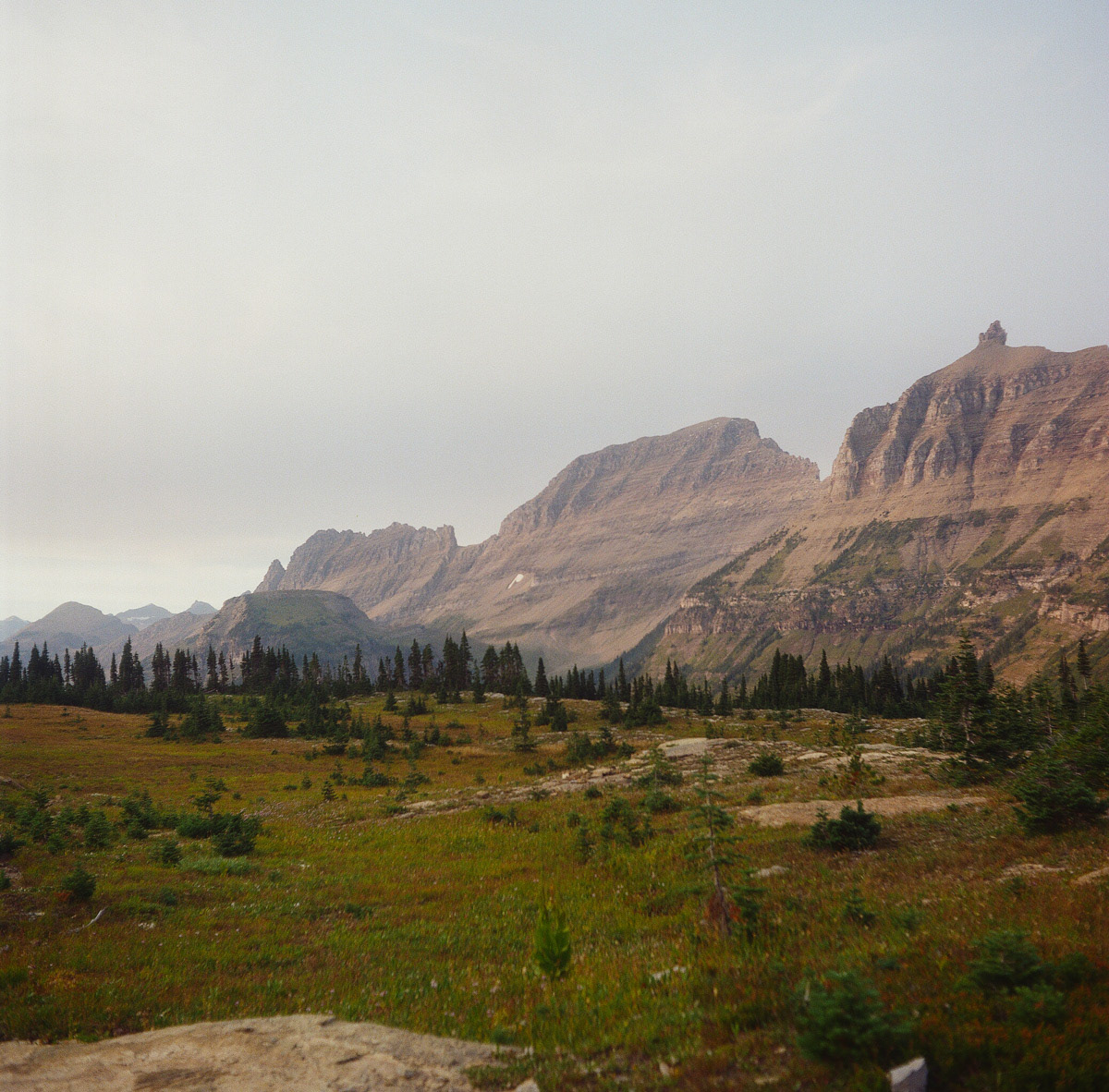 Logan Pass, Glacier NP | Summer 2024