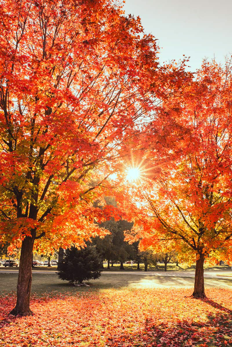 Boise | Fall 2023