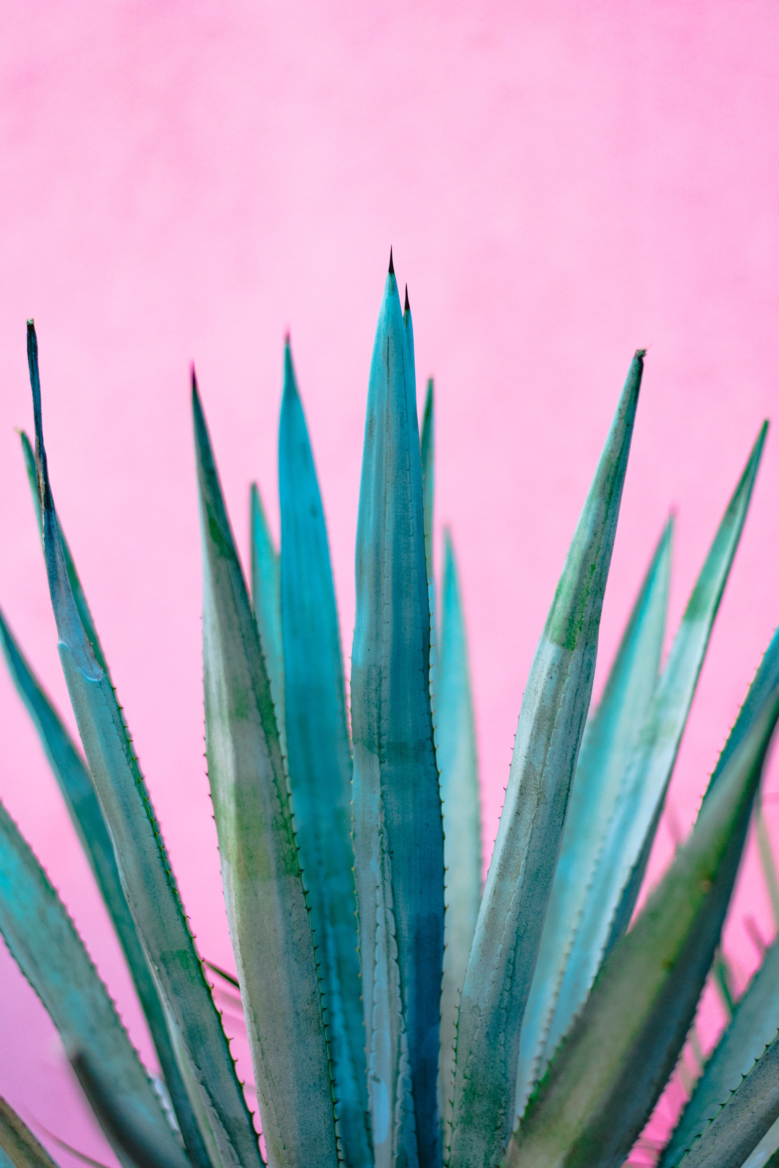 Loreto, Mexico | Spring 2022