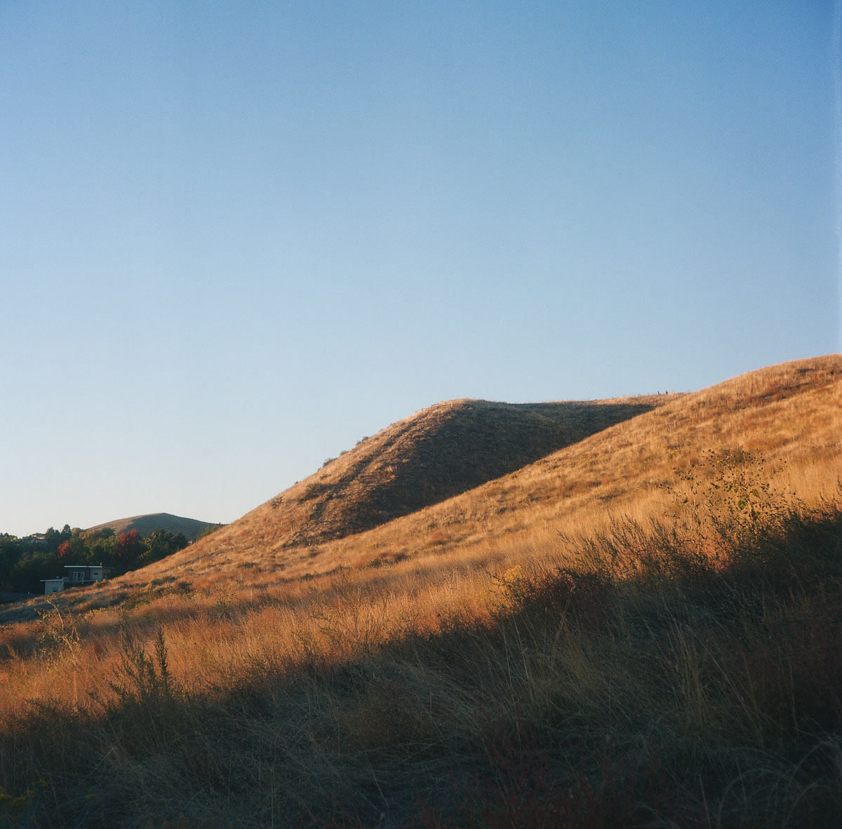 Golden hour in the Boise Foothills | Fall 2023