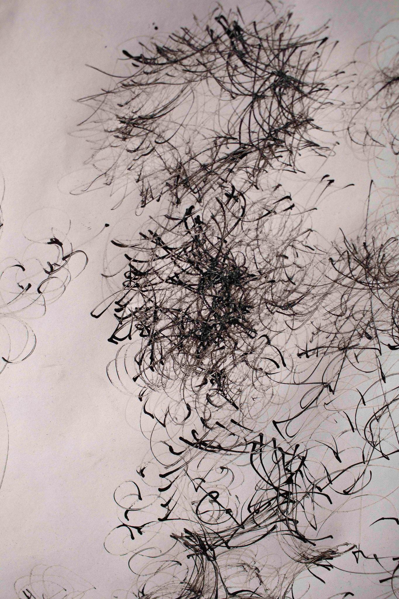 " Volubile paysage textuel " Marion Graf à propos des microgrammes de Robert Walser. 