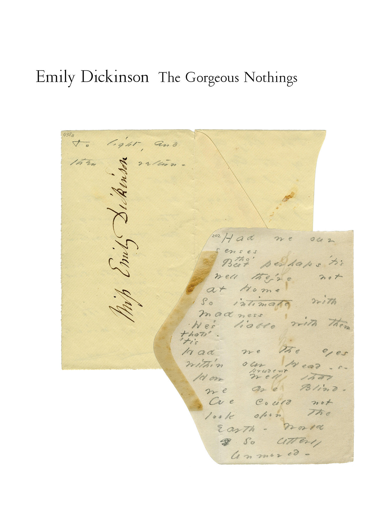 Emily Dickinson The Georgous Nothings