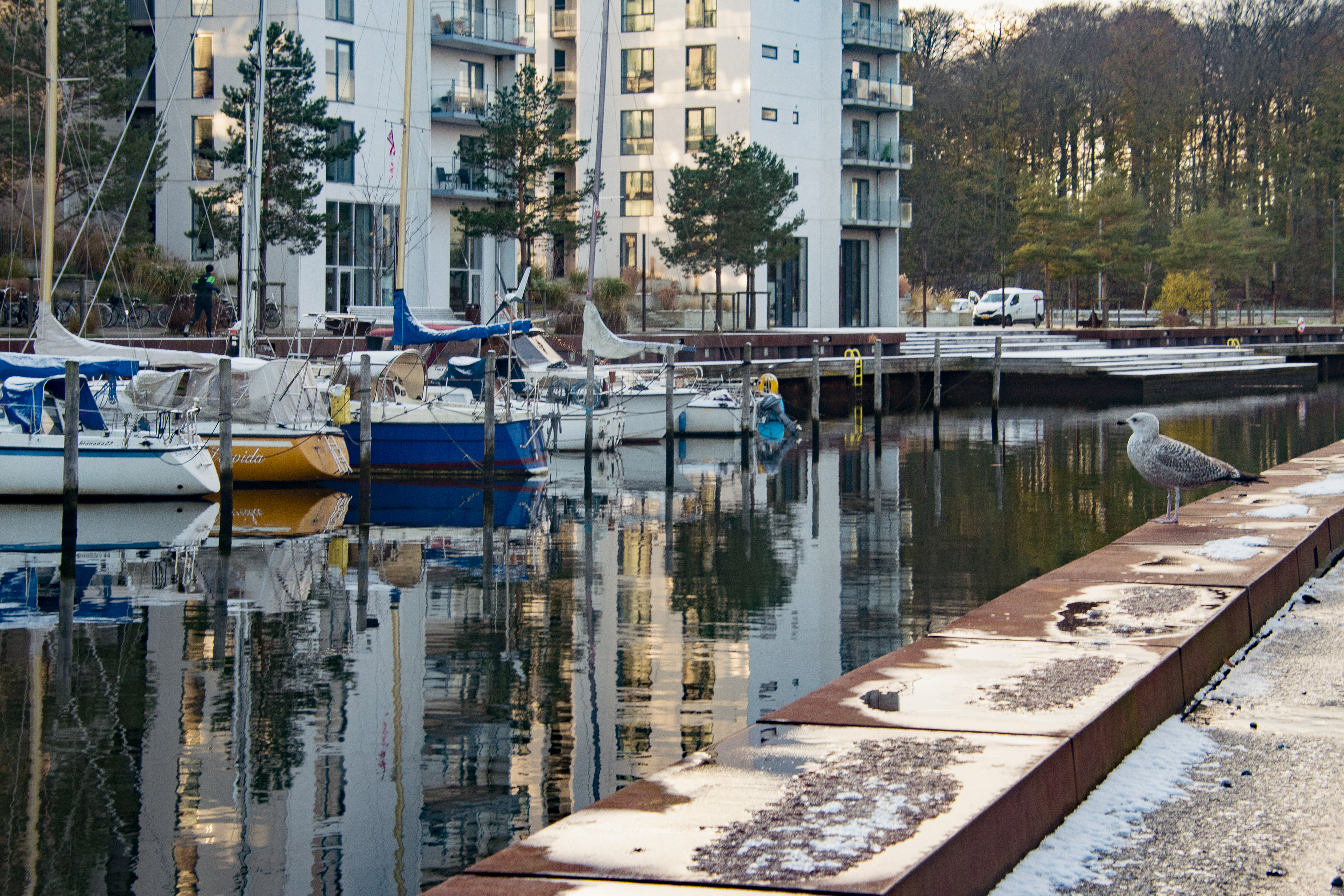 Odense harbour