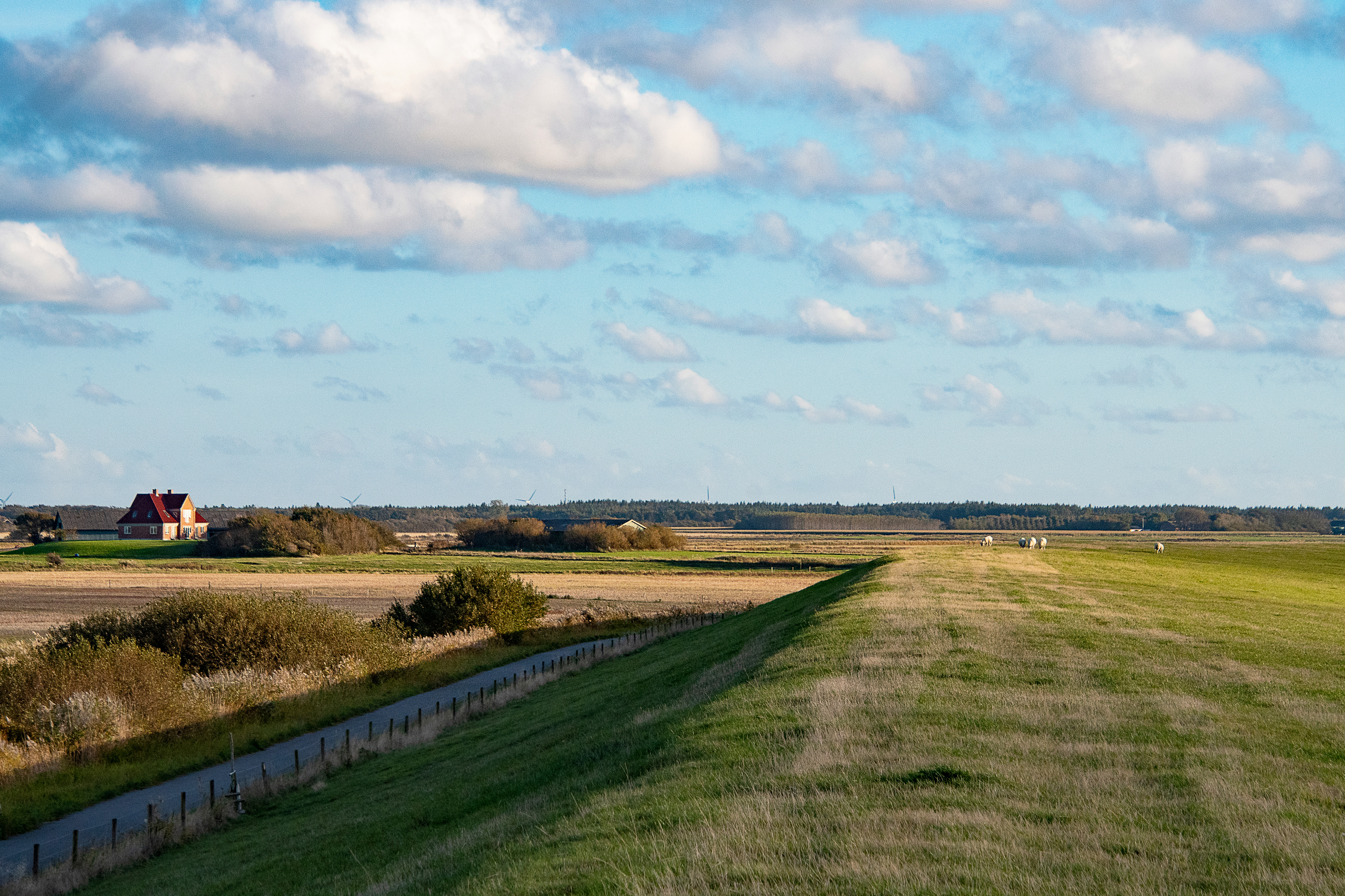 Dike and lock in Ribe