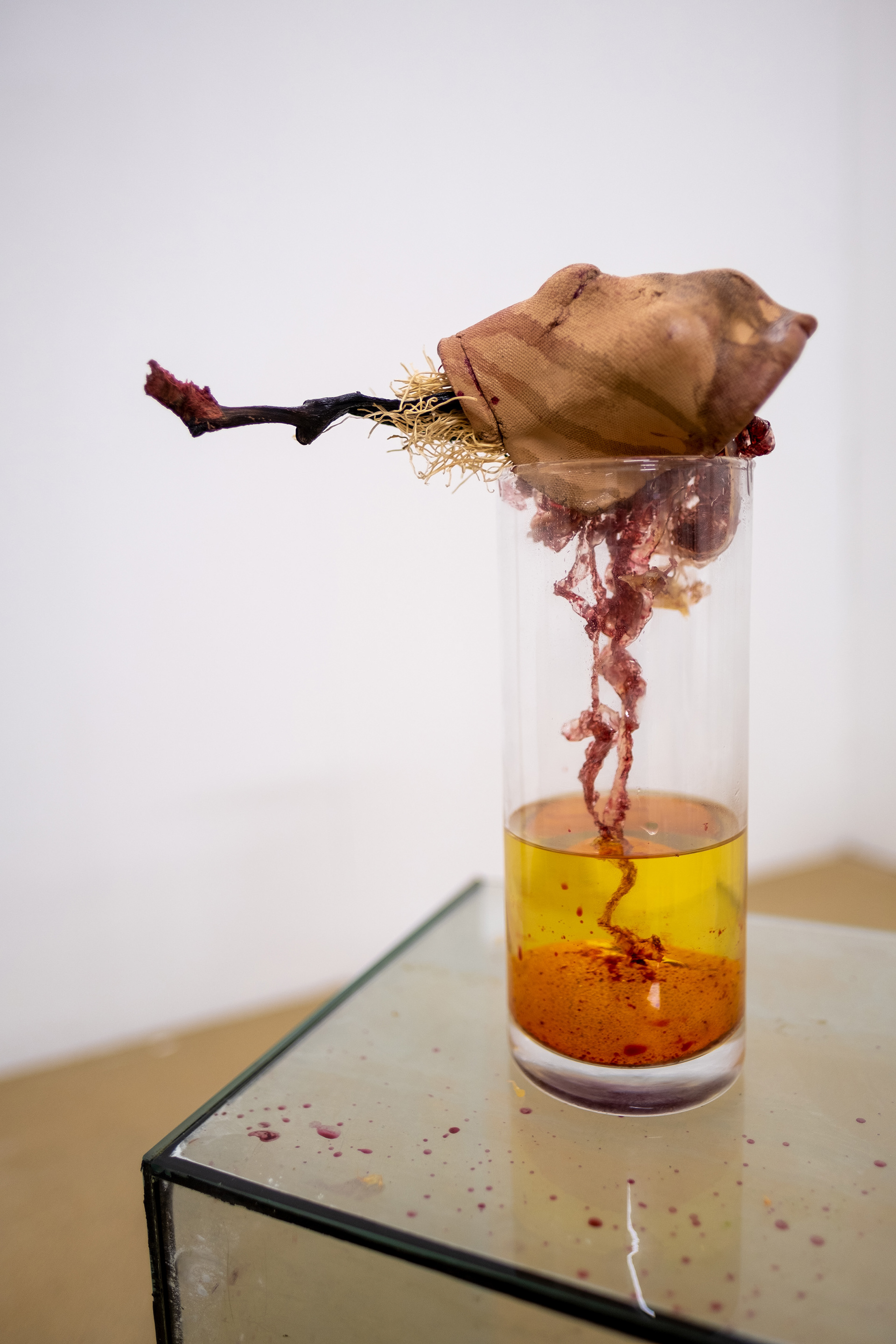 Kunst: Titel der Objektserie - Histotherapie. Material: Keramik, Latex, Öl, Bananenschale, Orangenschale, Jungzwiebelwurzeln, Rote Beete Saft
