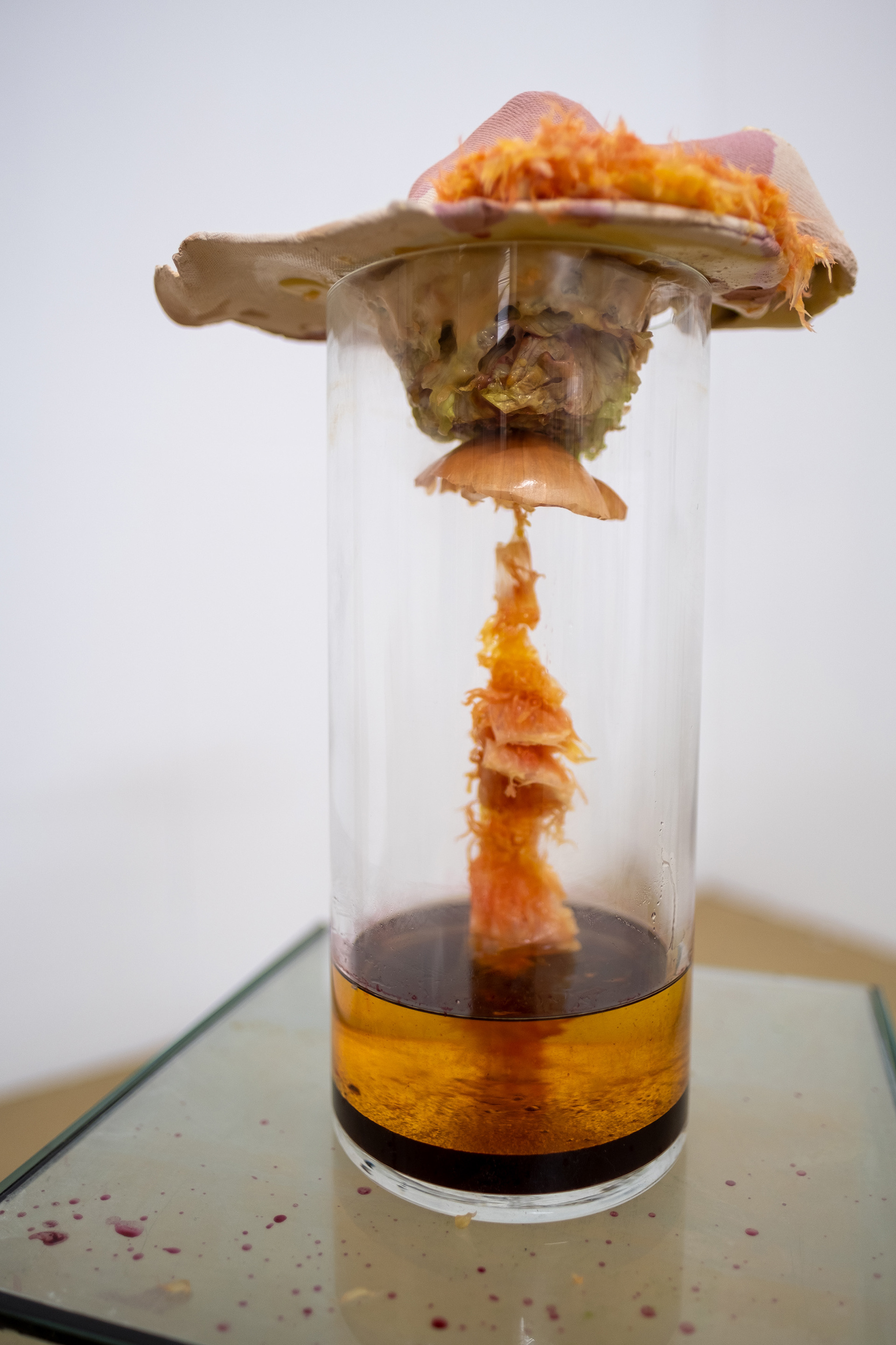 Kunst: Titel der Objektserie - Histotherapie. Material: Keramik, Latex, Öl, Salatstrunk, Zwiebelschale, Blutorangenfleisch, Rote Beete Saft