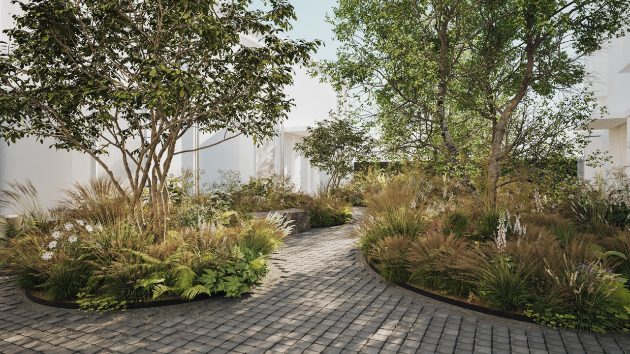 View from rear courtyard (Semper)