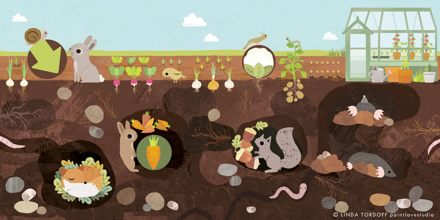 Can You Catch The Bunny - Author Rosie Adams Illustrator Linda Tordoff - Little Tiger