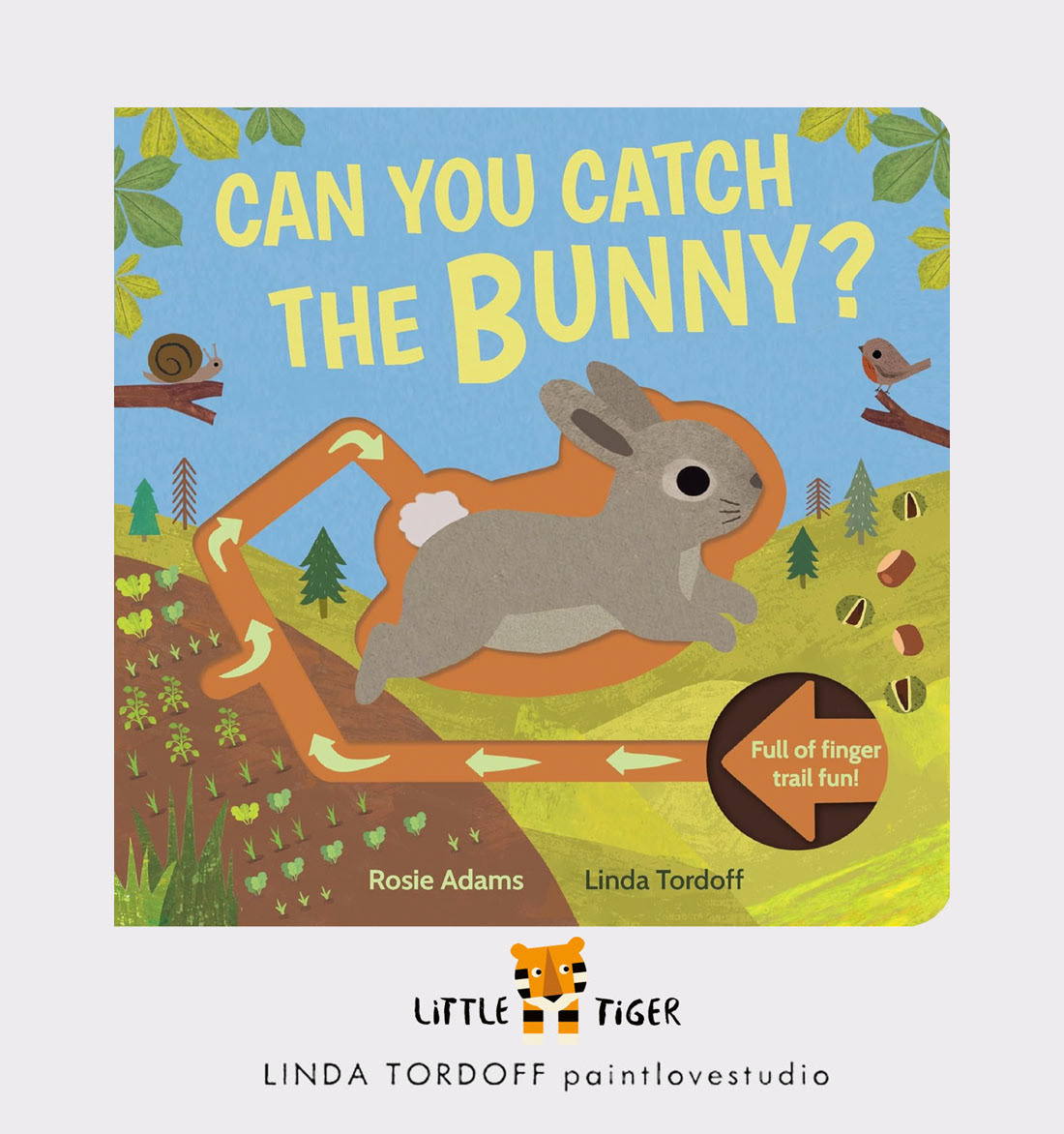Can You Catch the Bunny - Little Tiger