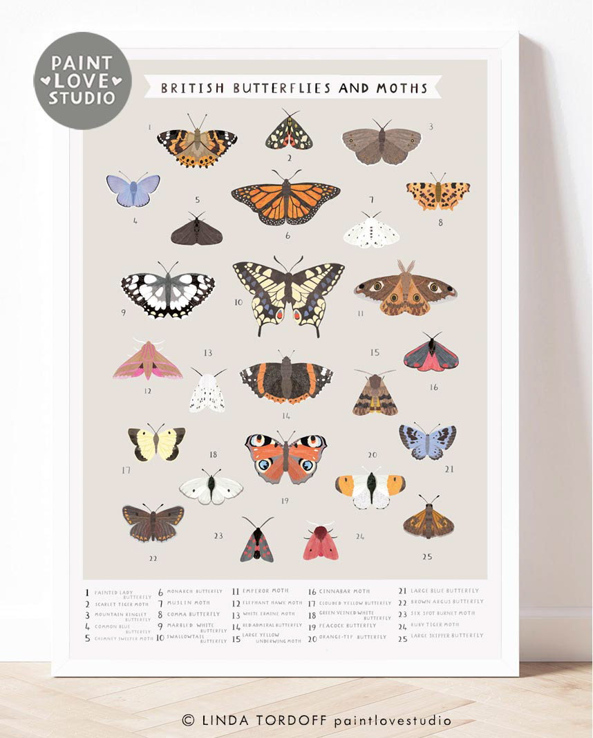 British Butterflies and Moths print designed for my shop
