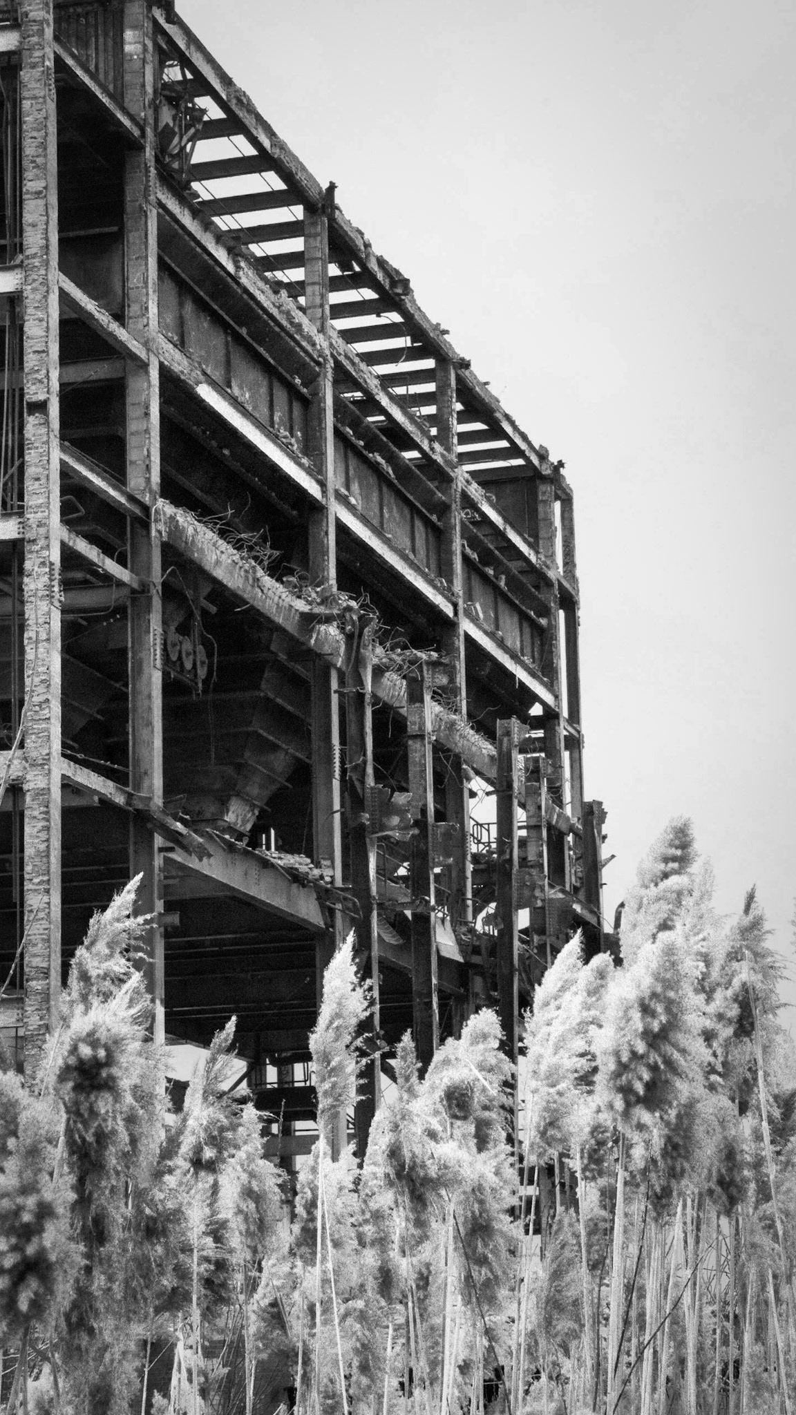 derelict 17