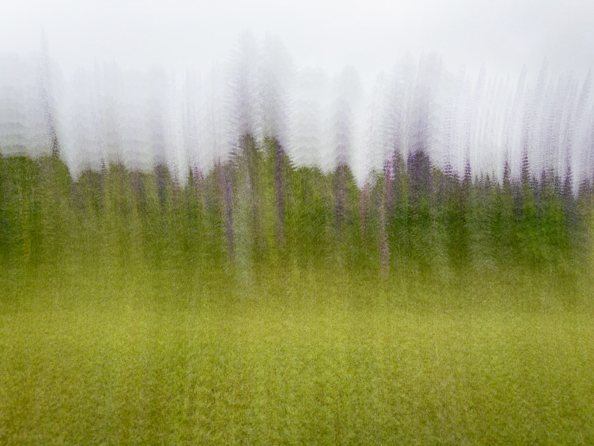ICM004