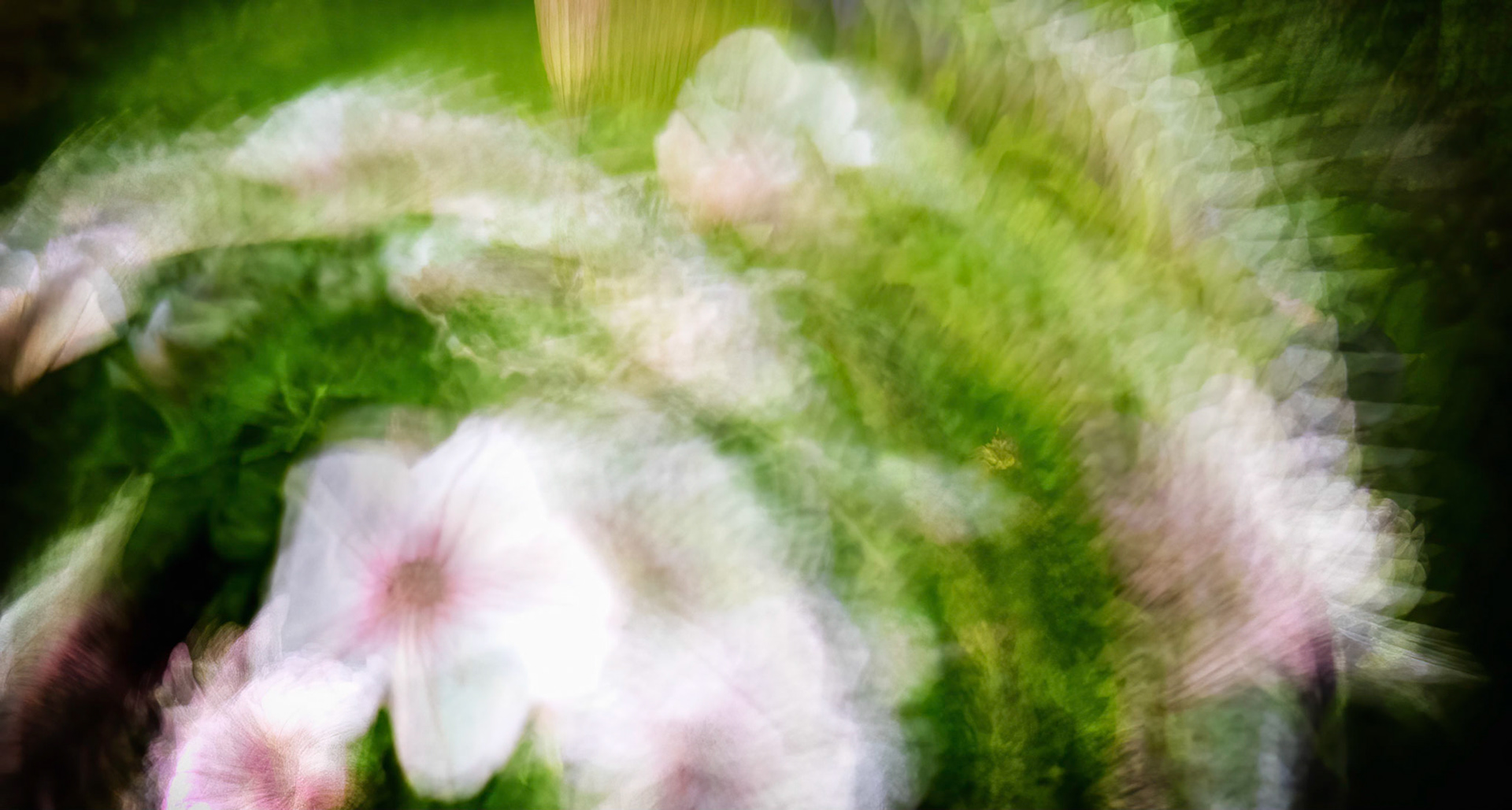 ICM 003